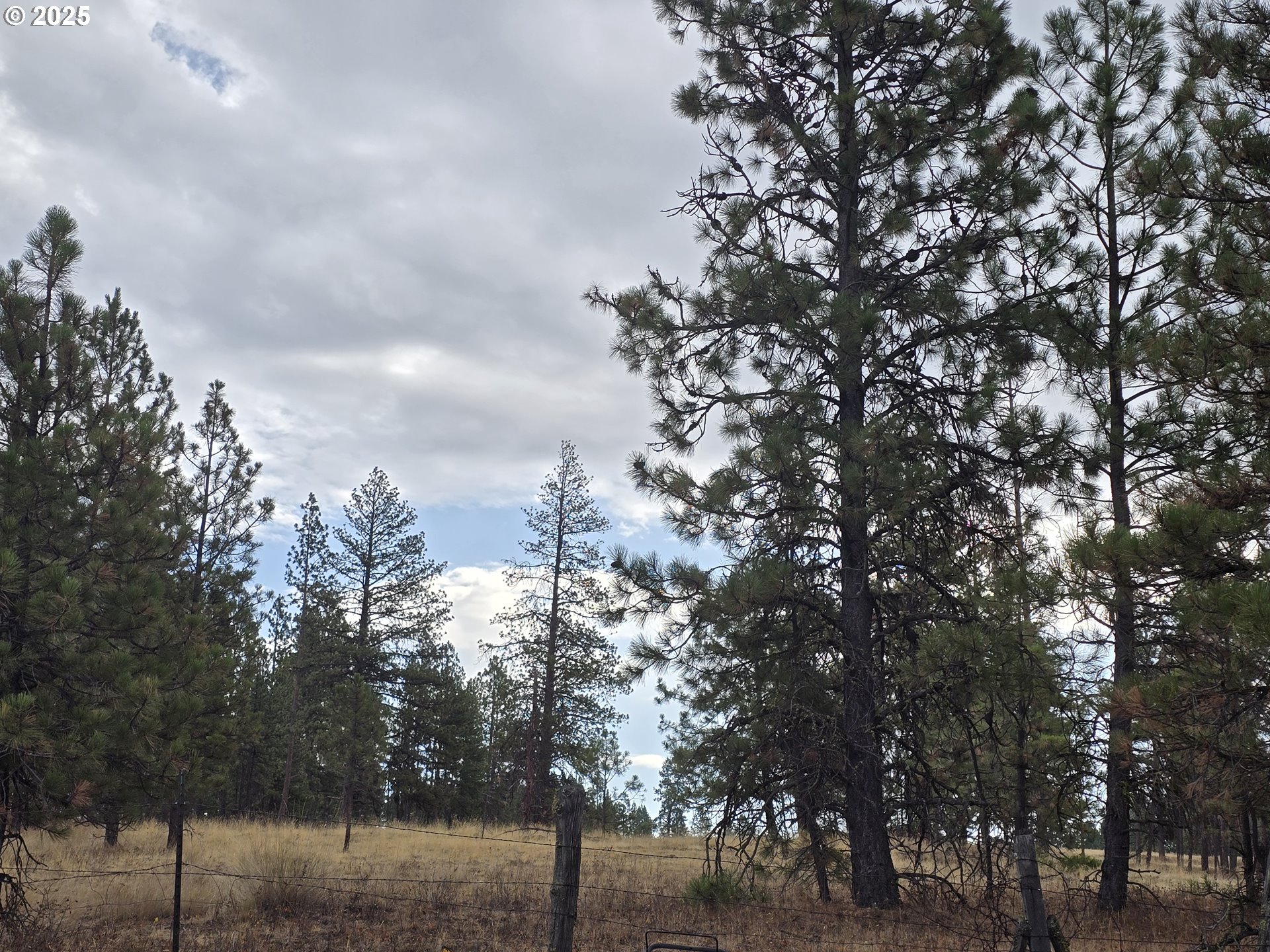 69443 Wickens Lane Elgin, OR 97827 - Photo 12 of 25