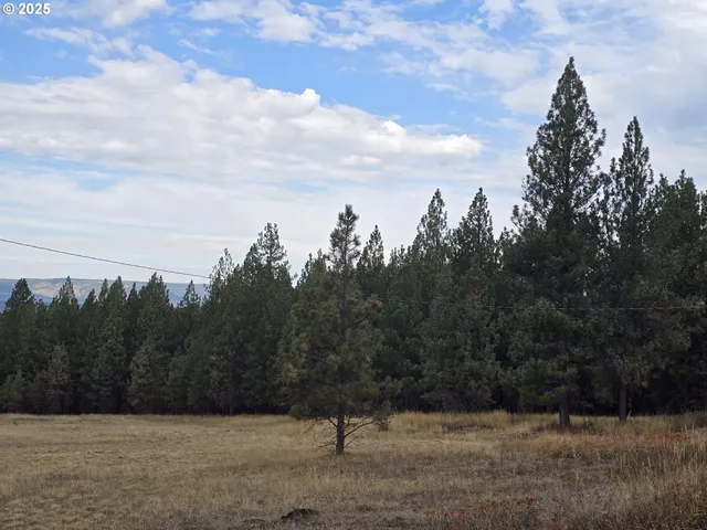 a view of a city with lots of trees