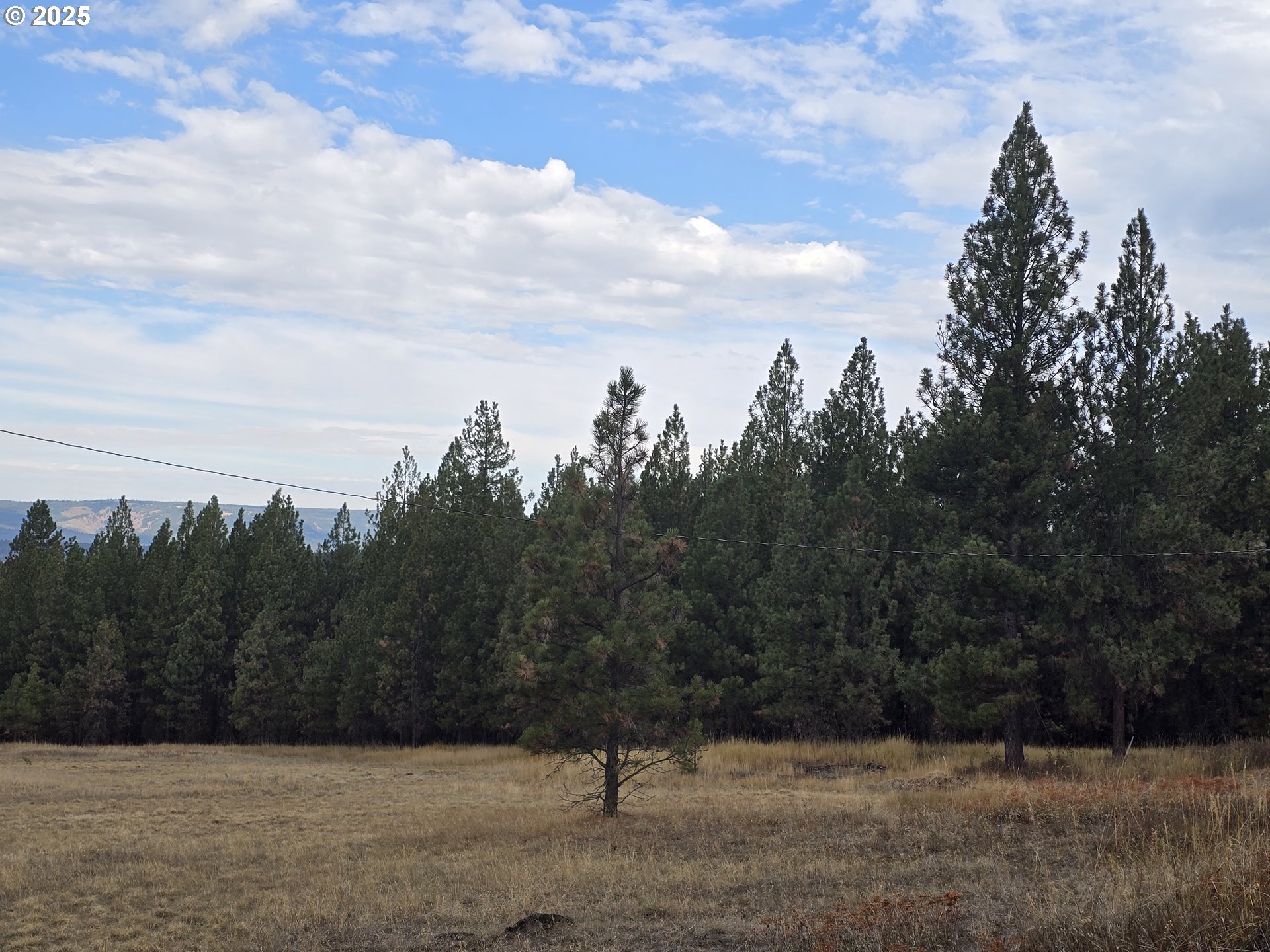 69443 Wickens Lane Elgin, OR 97827 - Photo 10 of 25