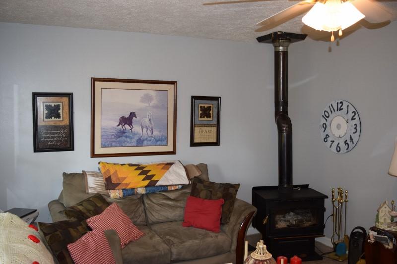 627 Diamond Knob Road Northeast Check, VA 24072 - Photo 14 of 22 a living room with furniture and a window