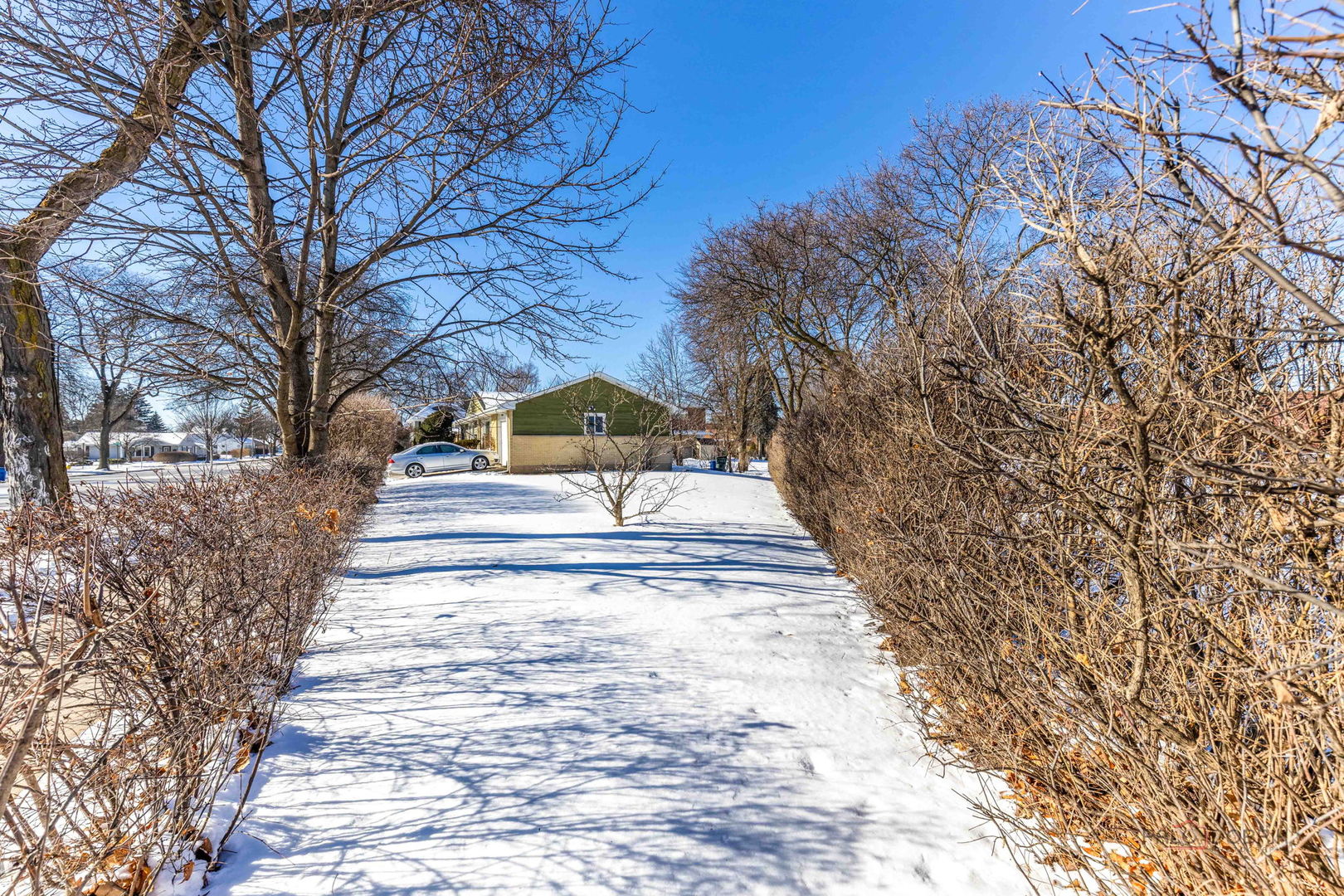 908 East Central Road Mount Prospect, IL 60056 - Photo 24 of 25 a view of yard with trees