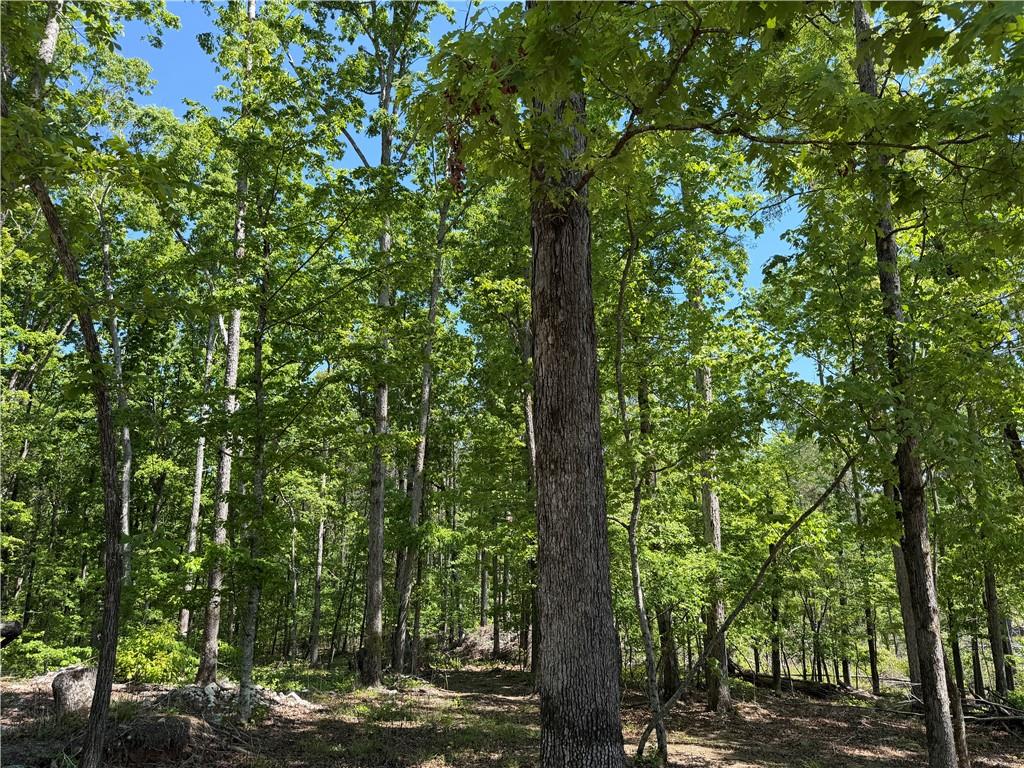 1000 Hidden Harbor Road Lincolnton, GA 30817 - Photo 8 of 45 Gallery Image 8