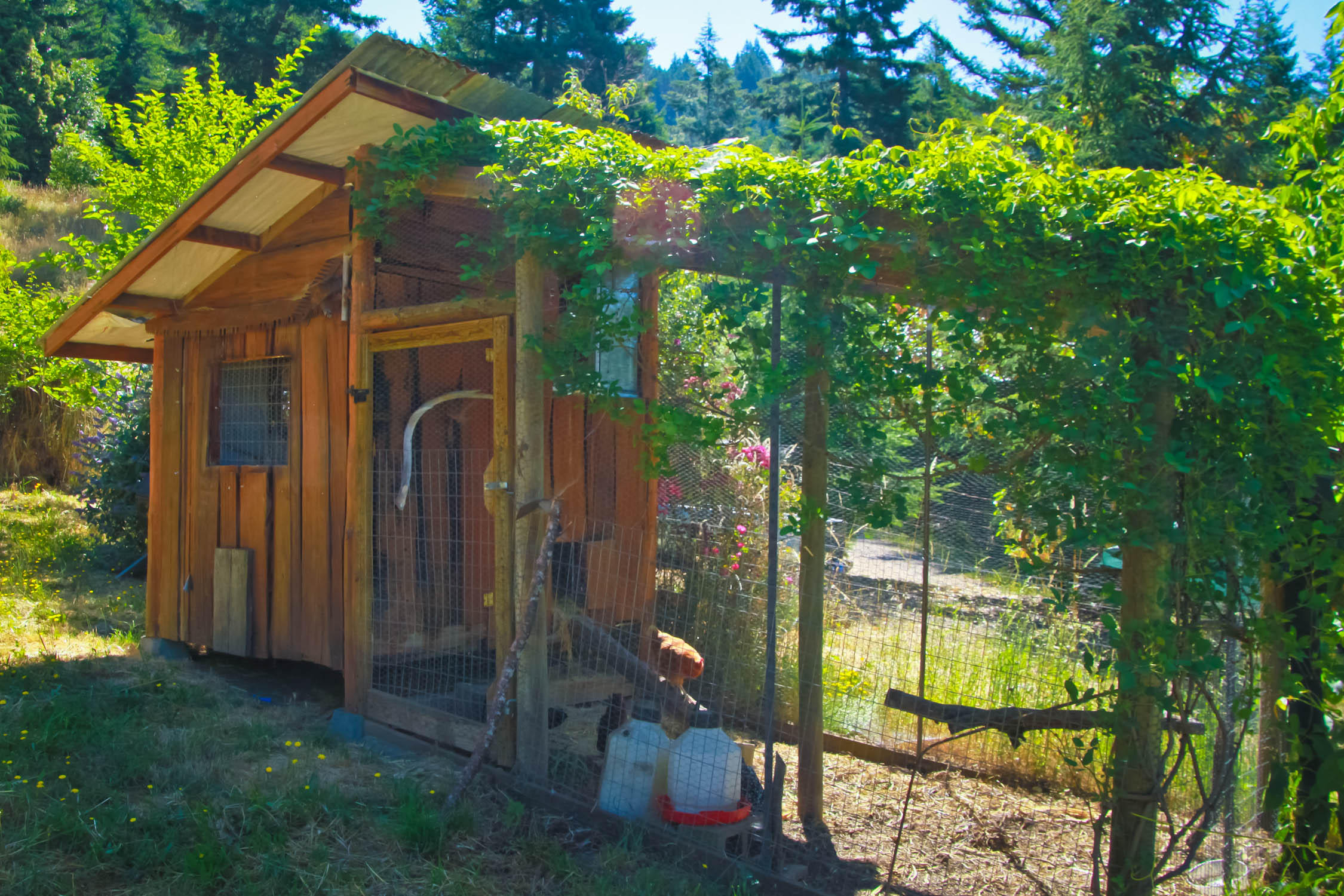2292 Titlow Hill Road Blue Lake, CA 95525 - Photo 44 of 79