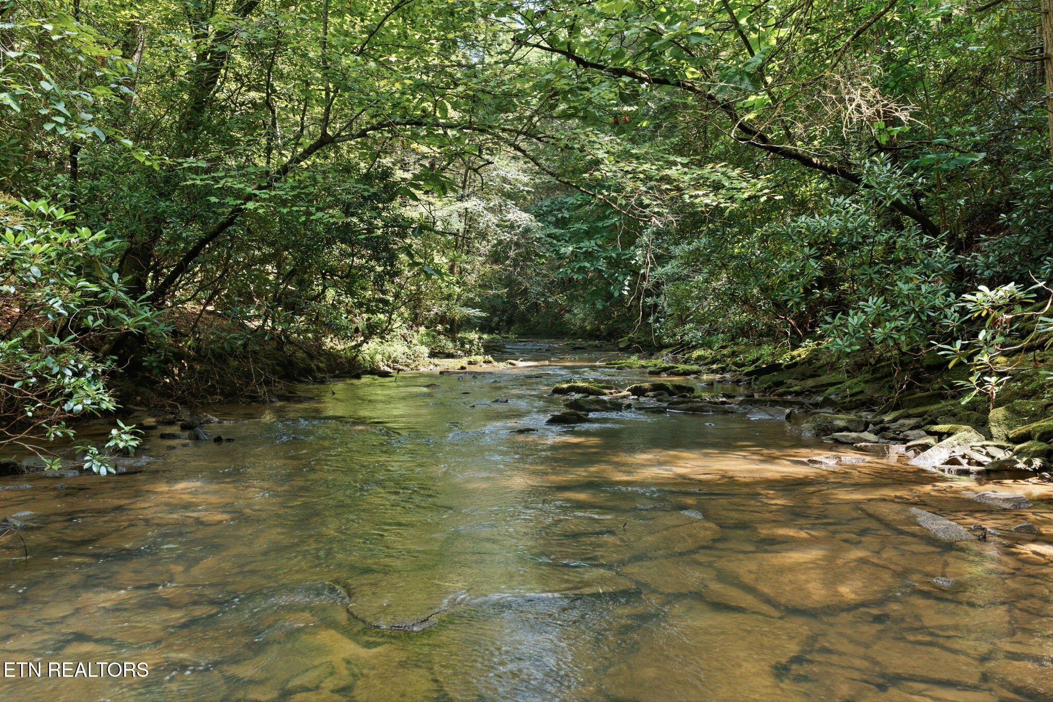 Twin Bridge Road Deer Lodge, TN 37726 - Photo 2 of 30 16-web-or-mls-016_Twin Bridge-079