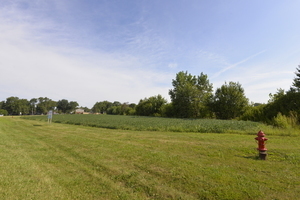 a yard with lots of green space and trees in the background