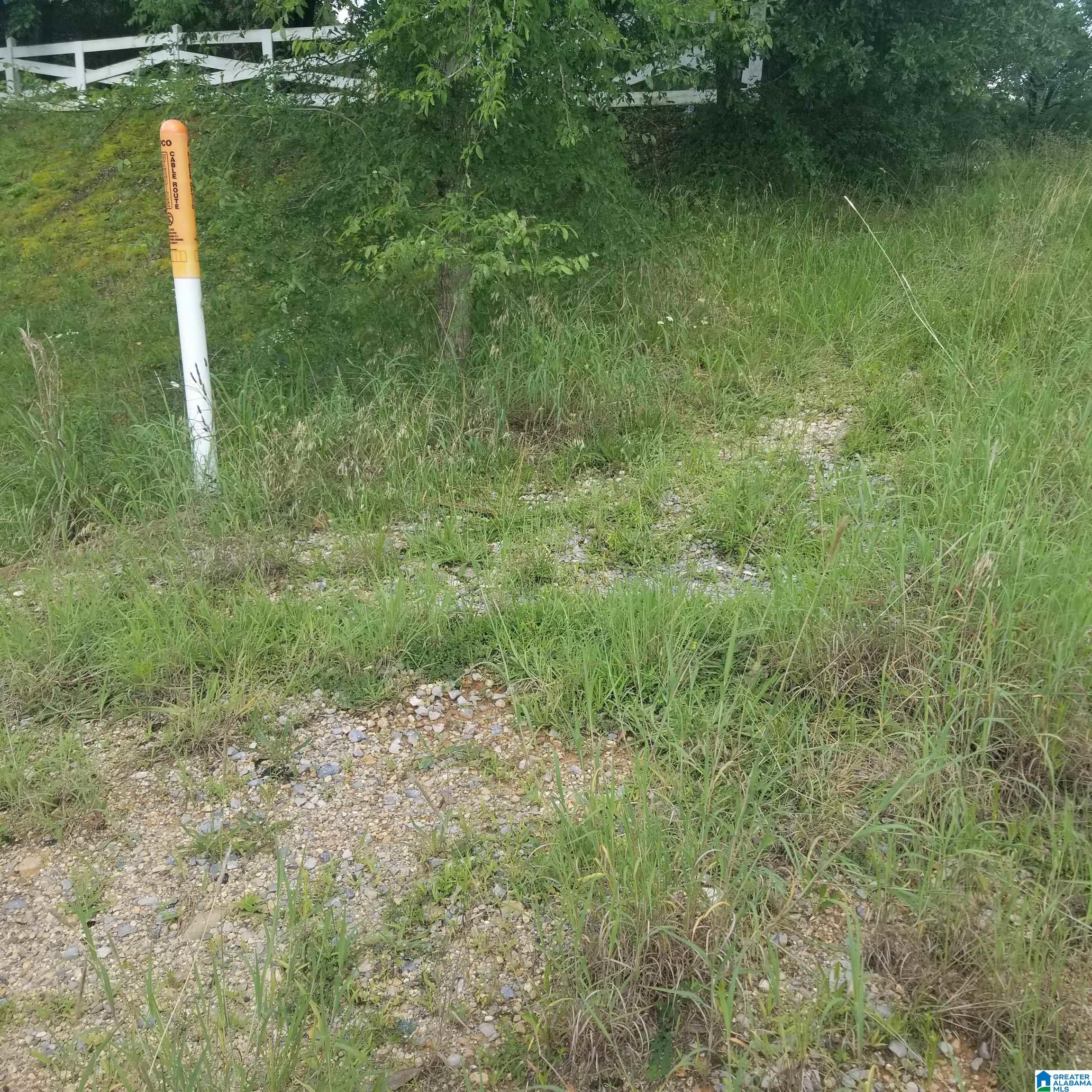 11284 Us Highway Riverside, AL 35135 - Photo 8 of 20
