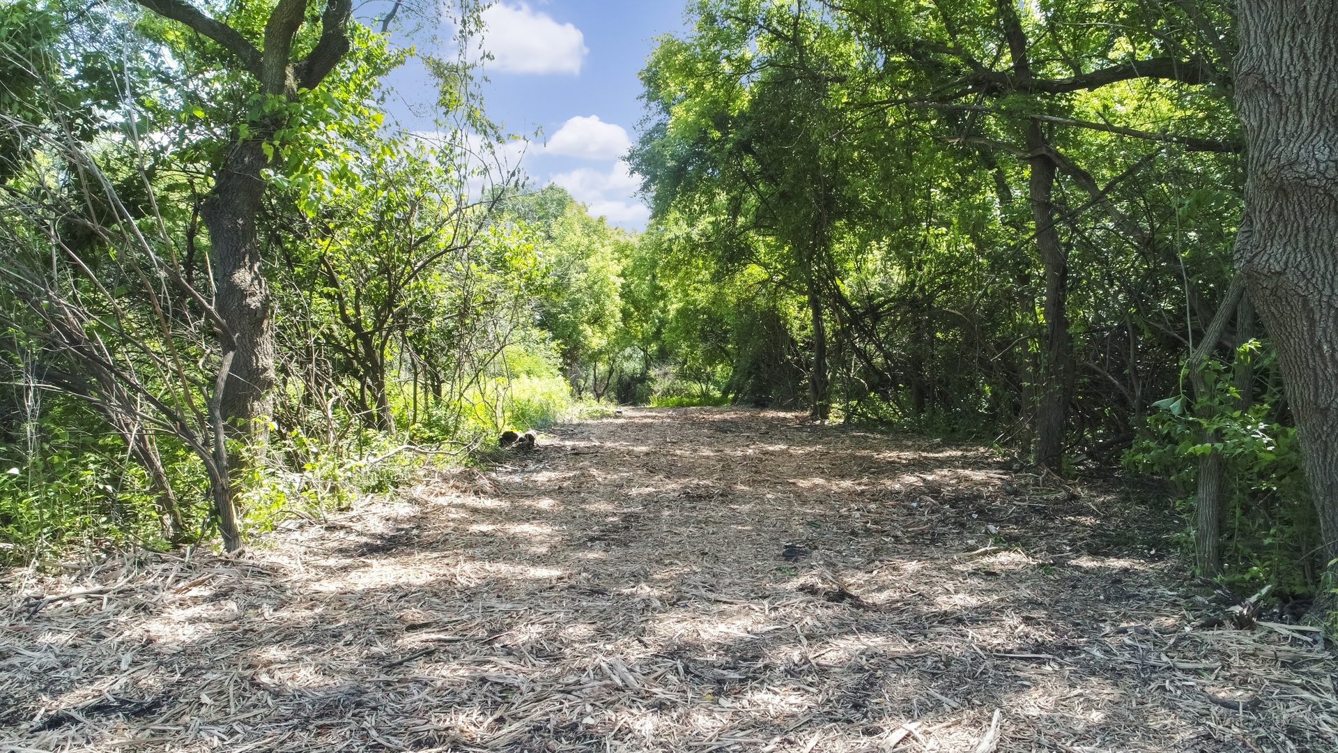 25 Elgin) Road Zion, IL 60099 - Photo 22 of 30