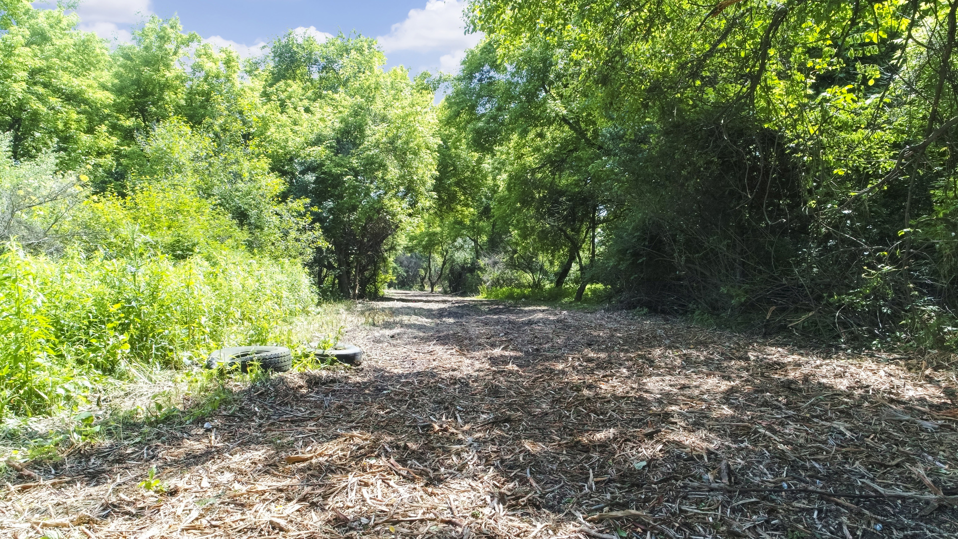 25 Elgin) Road Zion, IL 60099 - Photo 23 of 30
