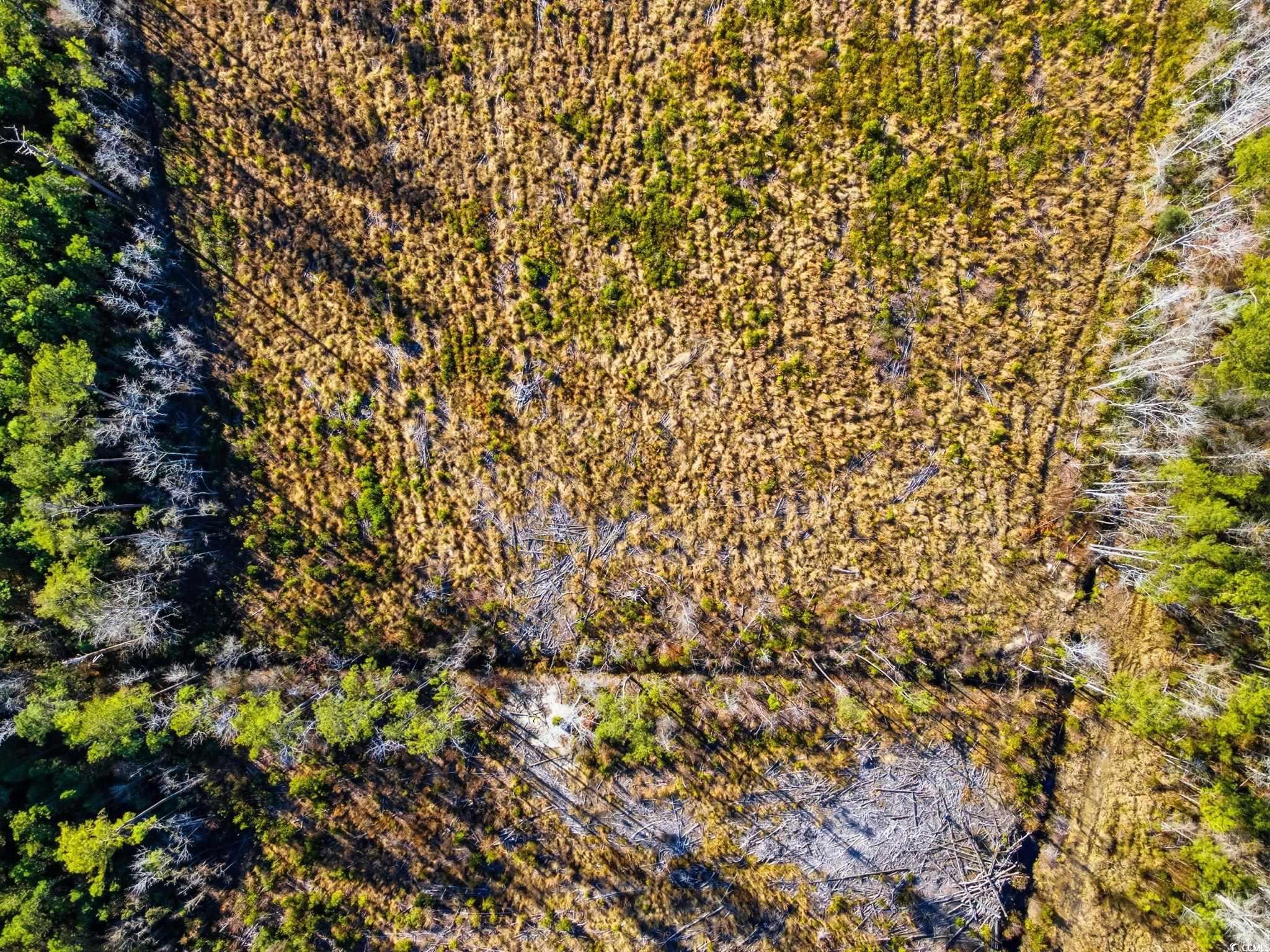 Tbd Freemont Road Longs, SC 29568 - Photo 11 of 24 Bird's eye view