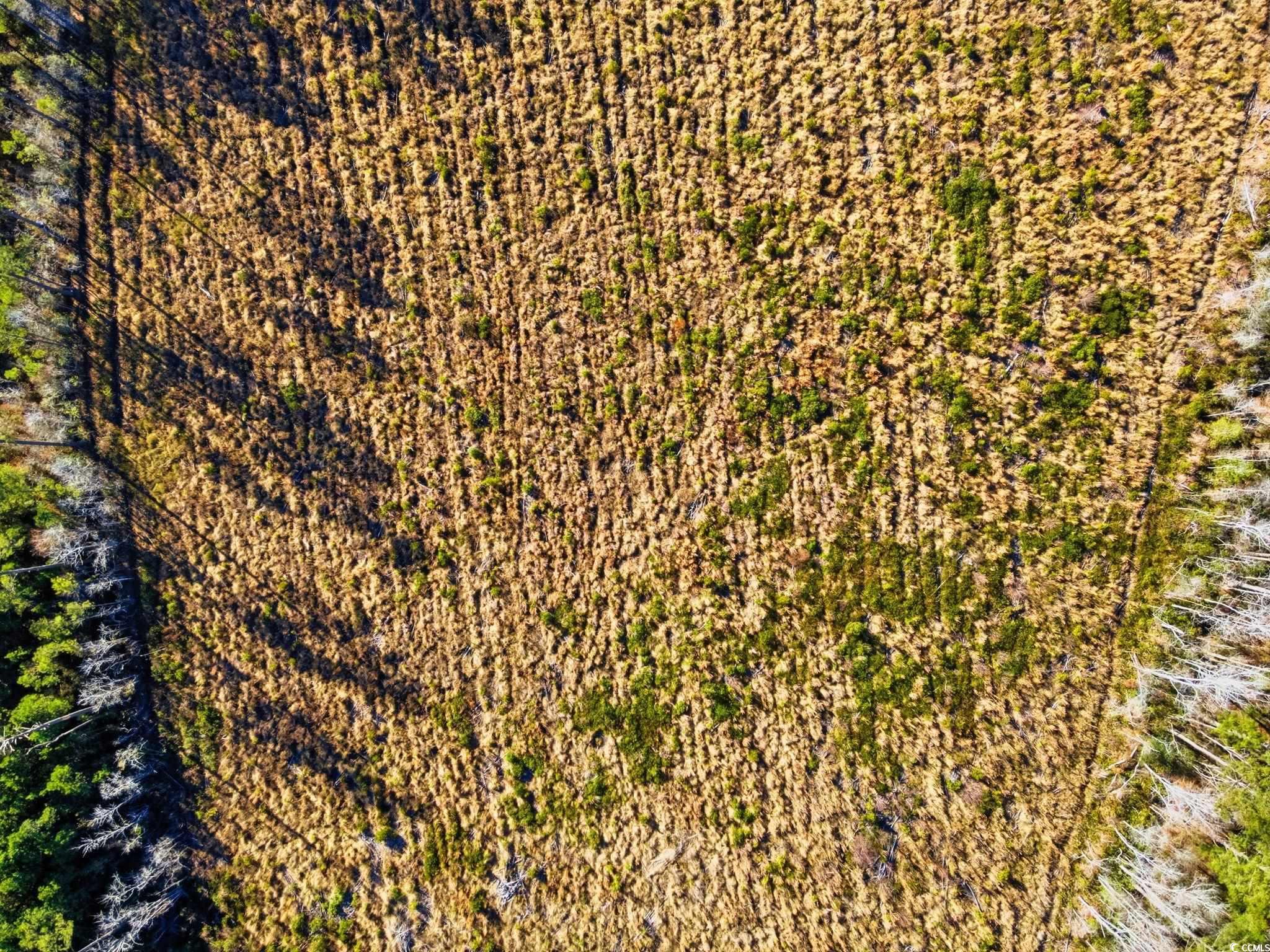Tbd Freemont Road Longs, SC 29568 - Photo 12 of 24 Bird's eye view
