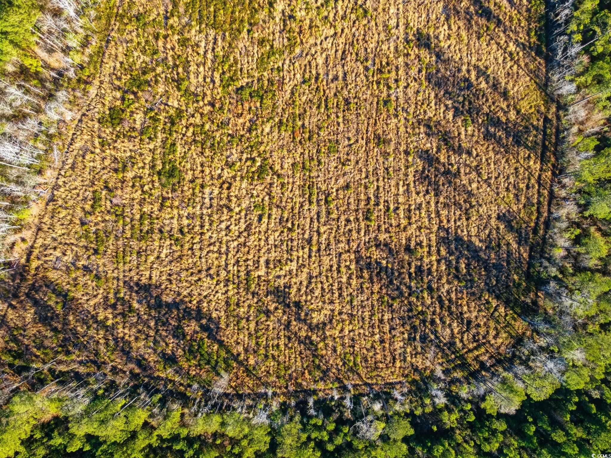 Tbd Freemont Road Longs, SC 29568 - Photo 15 of 24 Aerial view
