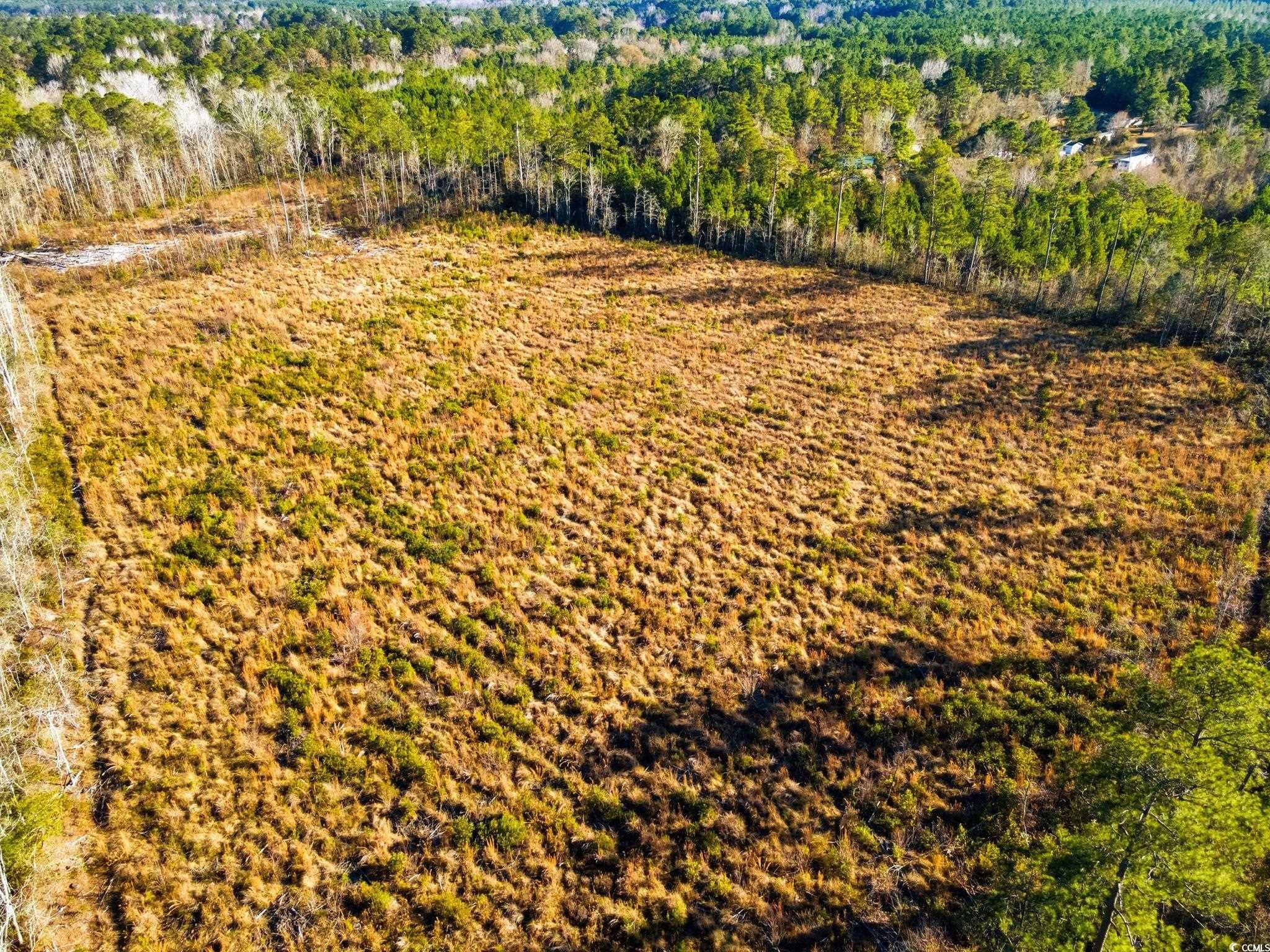Tbd Freemont Road Longs, SC 29568 - Photo 17 of 24 Drone / aerial view