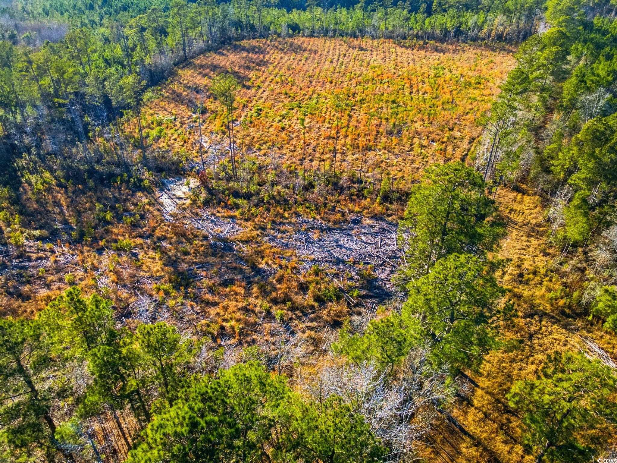 Tbd Freemont Road Longs, SC 29568 - Photo 19 of 24 Drone / aerial view