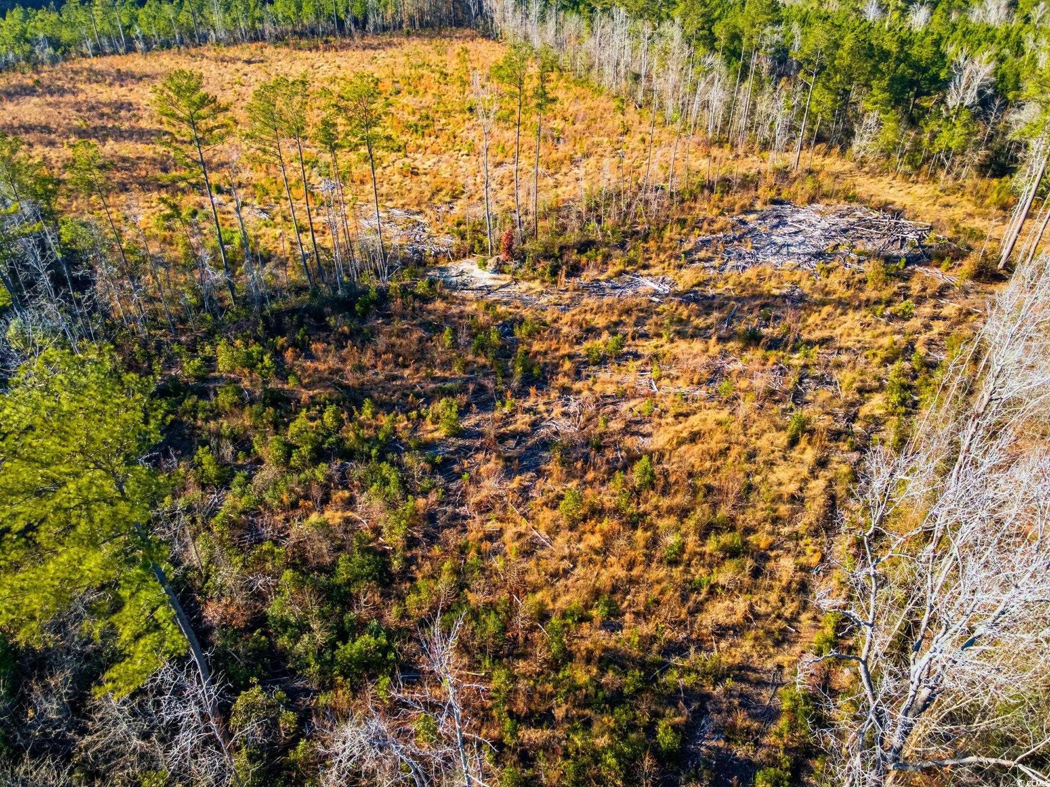 Tbd Freemont Road Longs, SC 29568 - Photo 20 of 24 Aerial view