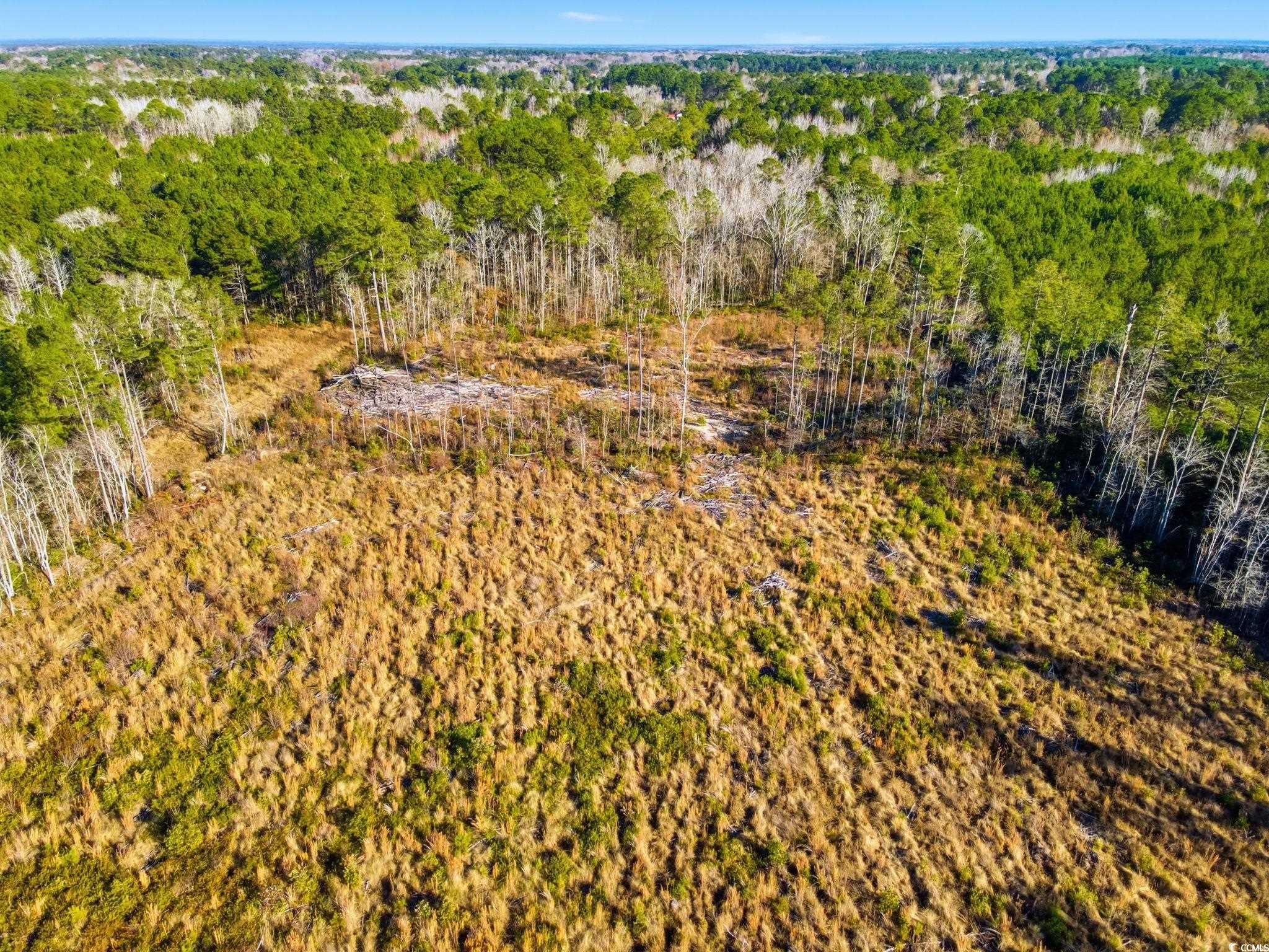 Tbd Freemont Road Longs, SC 29568 - Photo 22 of 24 Drone / aerial view