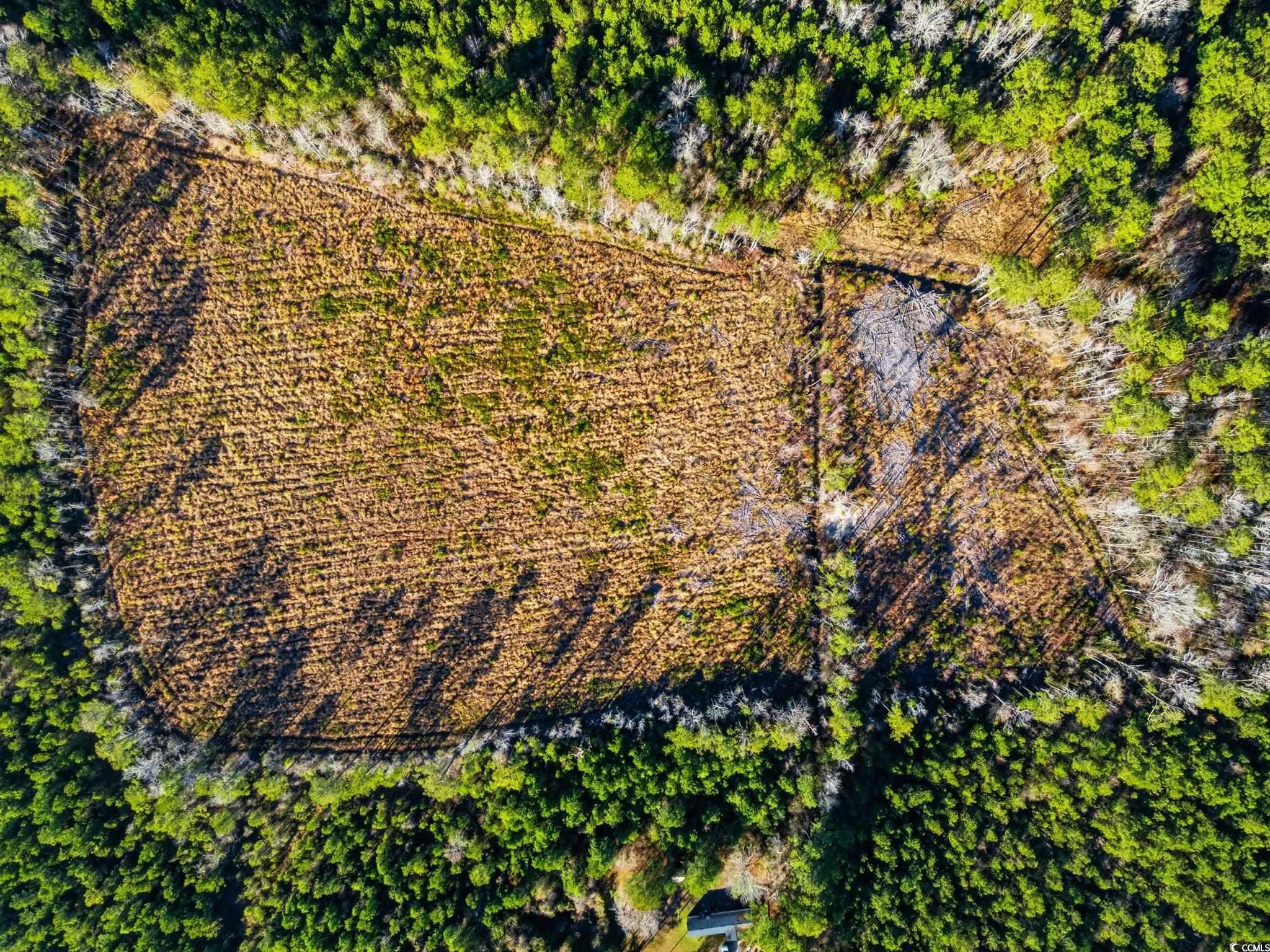 Tbd Freemont Road Longs, SC 29568 - Photo 23 of 24 Bird's eye view