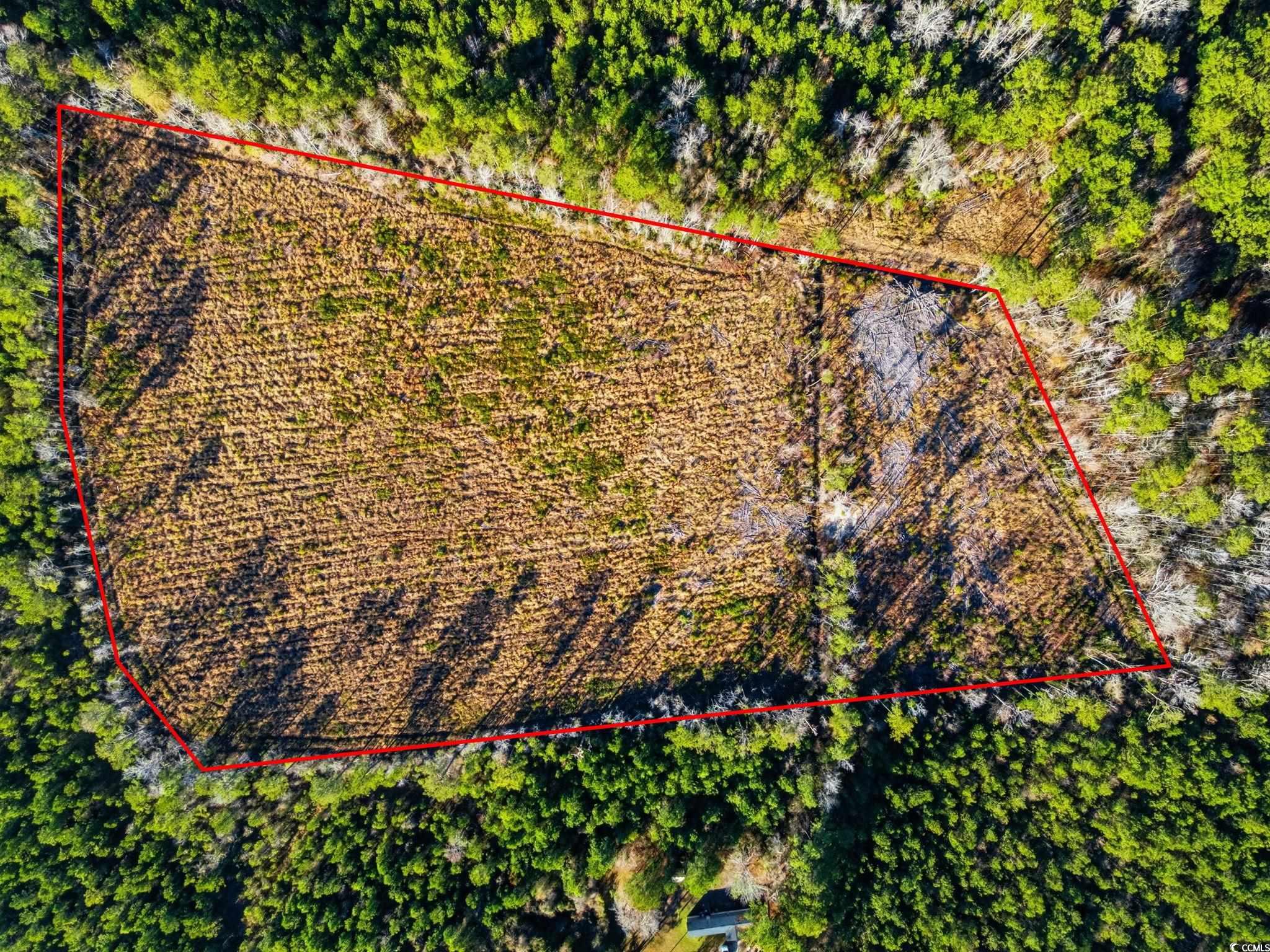 Tbd Freemont Road Longs, SC 29568 - Photo 24 of 24 Overview of rural landscape featuring property boundaries highlighted