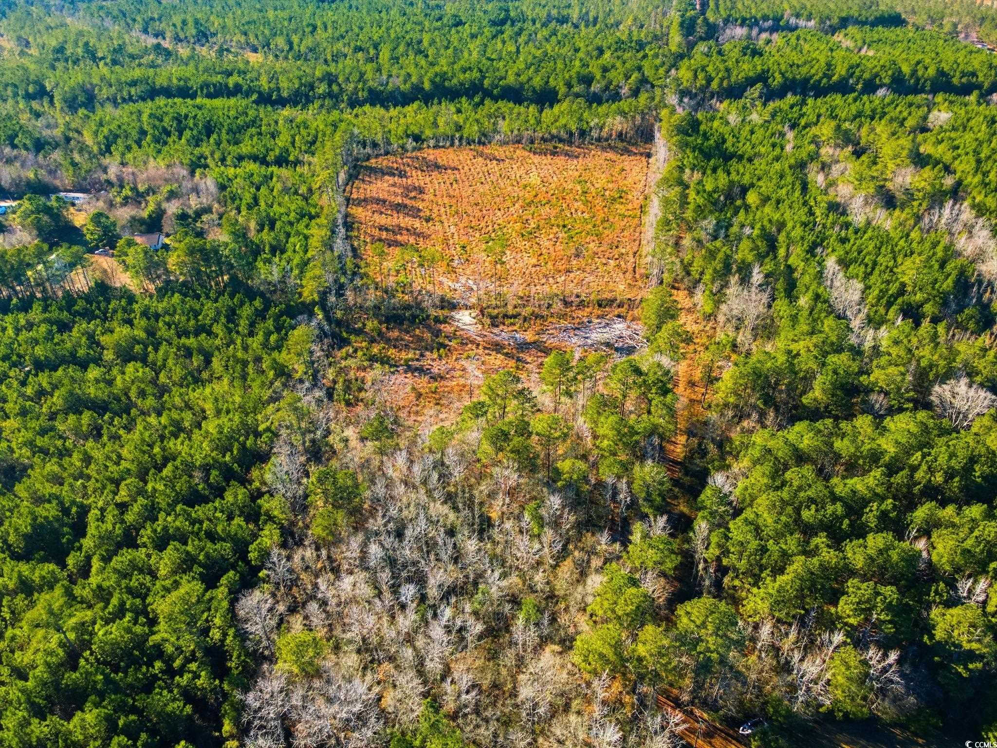 Tbd Freemont Road Longs, SC 29568 - Photo 3 of 24 Aerial view