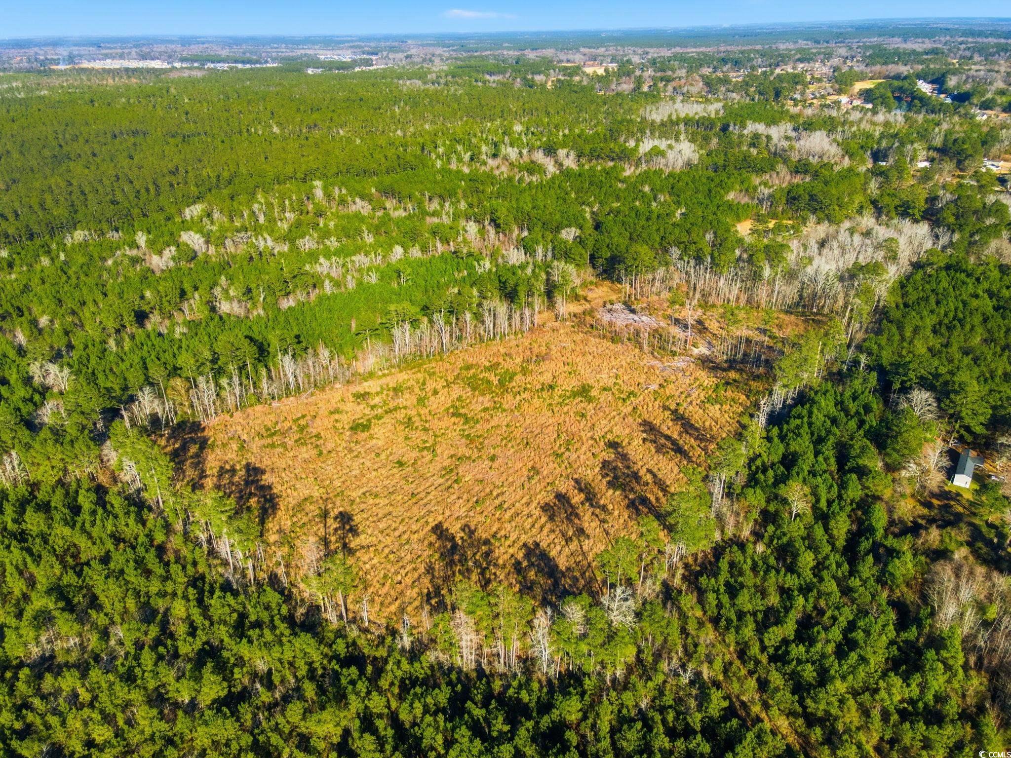 Tbd Freemont Road Longs, SC 29568 - Photo 4 of 24 Aerial view