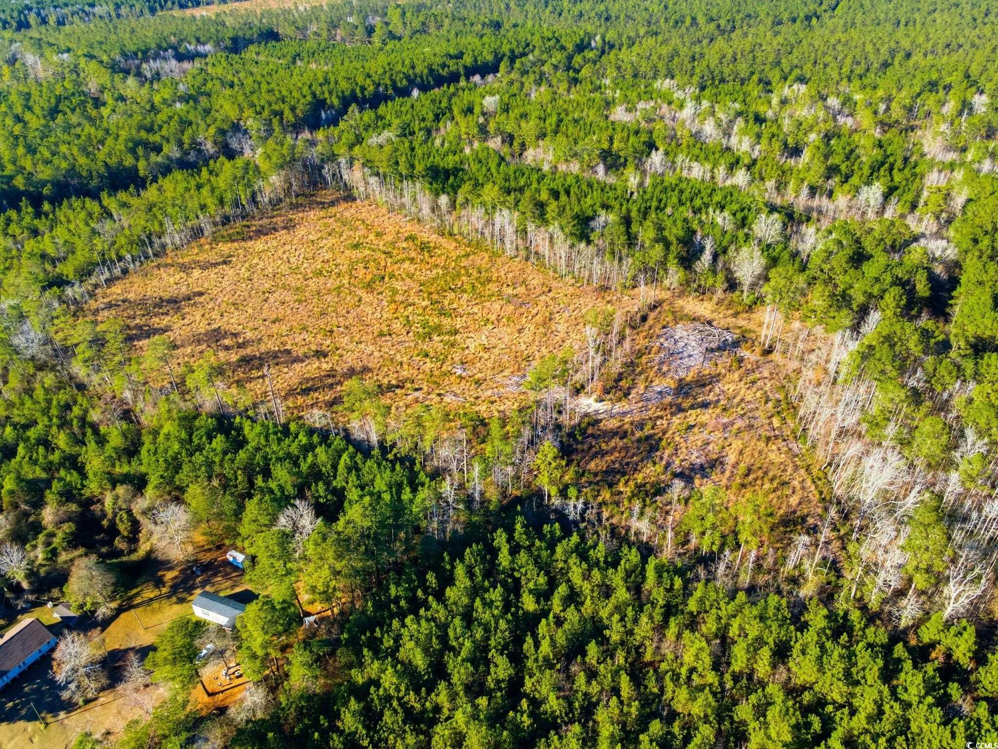 Tbd Freemont Road Longs, SC 29568 - Photo 5 of 24 Bird's eye view
