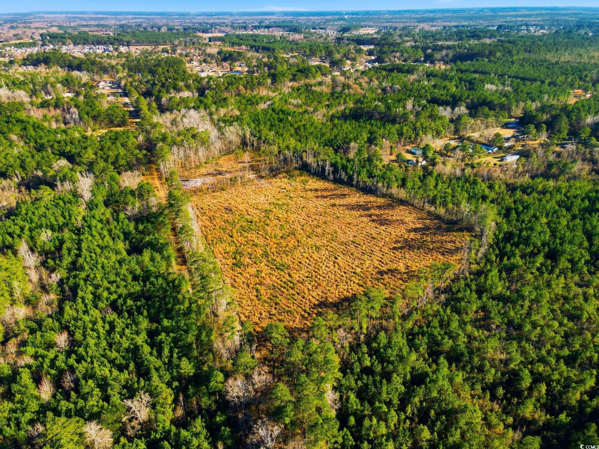 Tbd Freemont Road Longs, SC 29568 - Photo 7 of 24 Bird's eye view