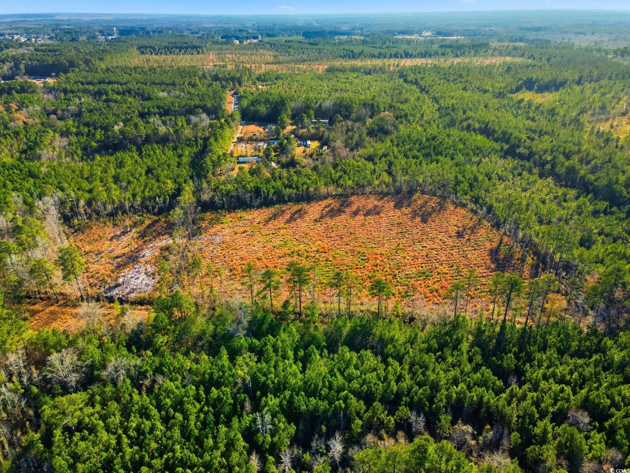 Tbd Freemont Road Longs, SC 29568 - Photo 8 of 24 Drone / aerial view of a heavily wooded area