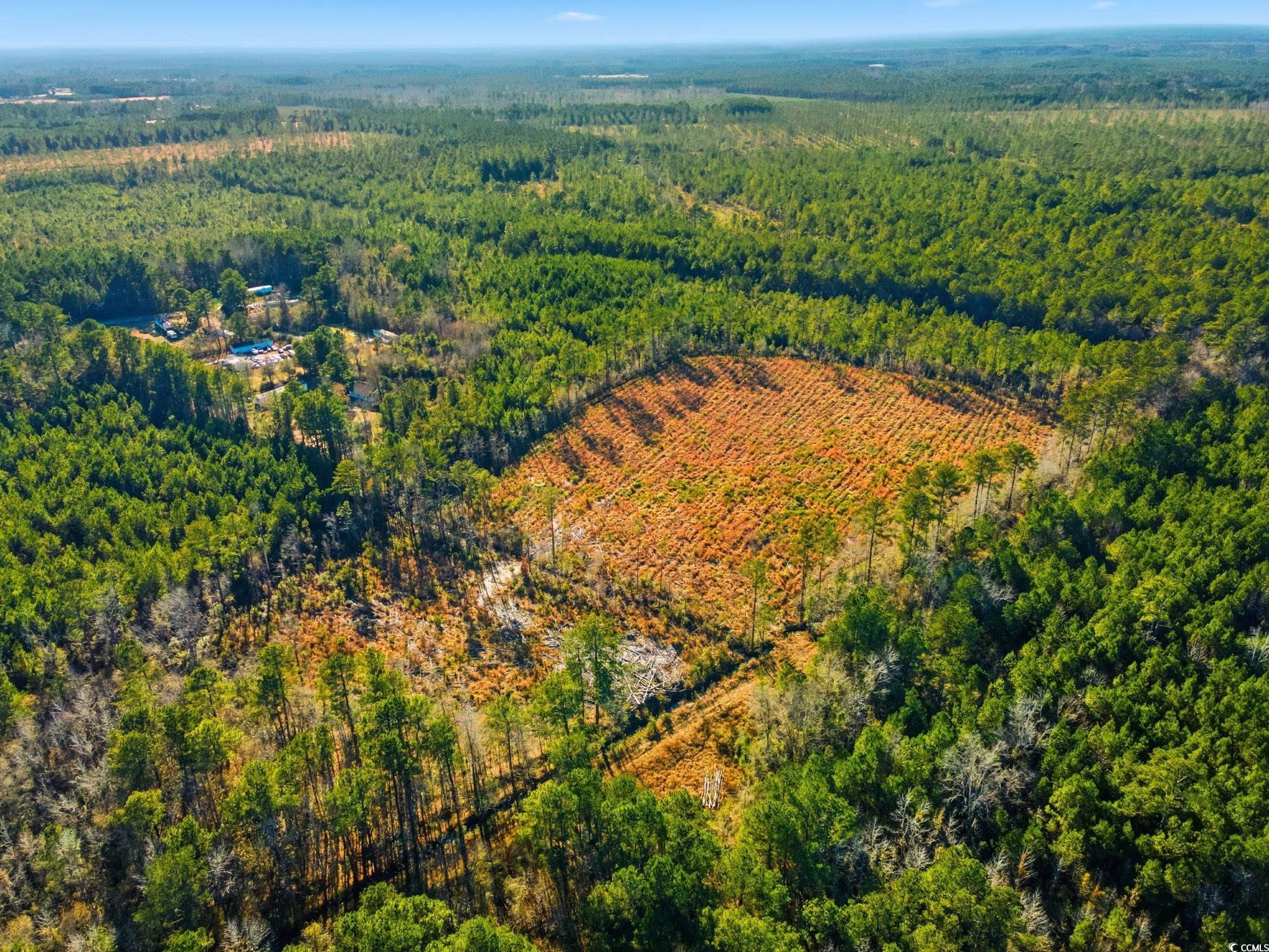 Tbd Freemont Road Longs, SC 29568 - Photo 9 of 24 Drone / aerial view