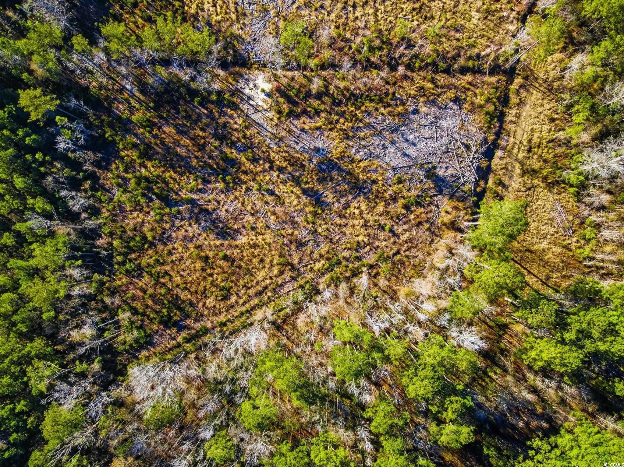 Tbd Freemont Road Longs, SC 29568 - Photo 10 of 24 Aerial view