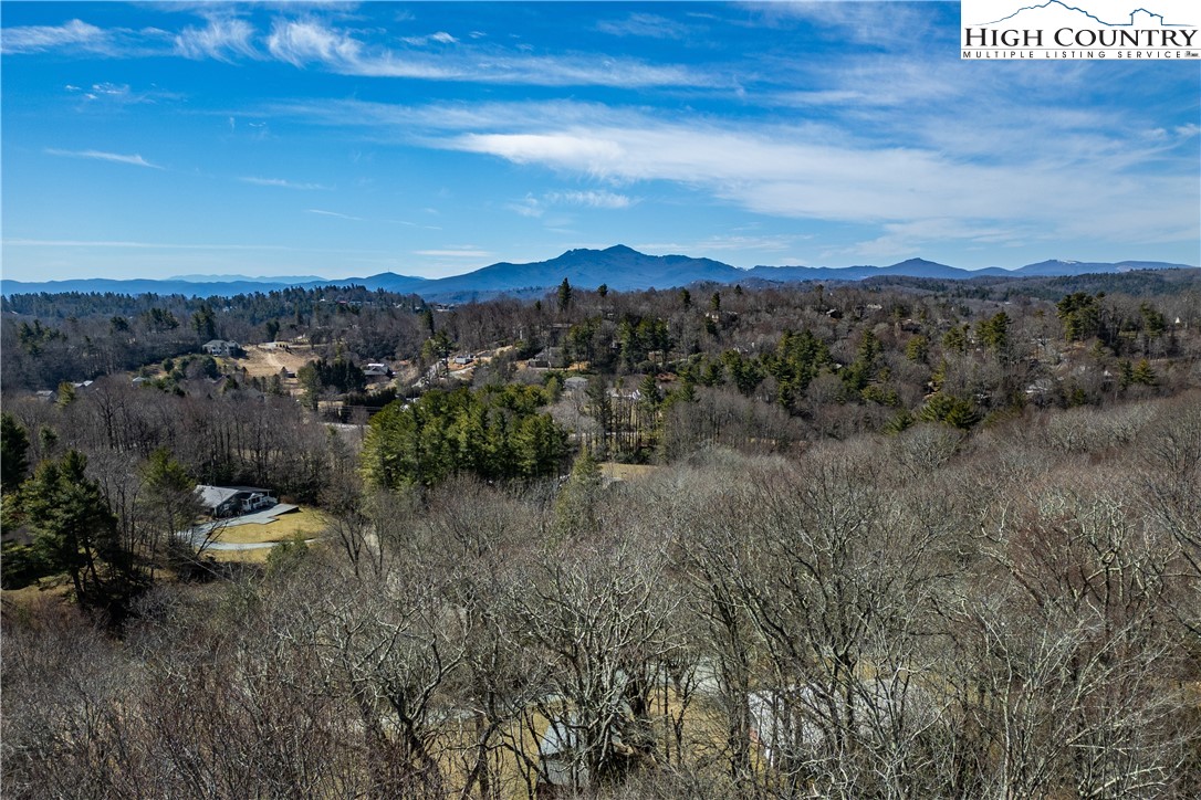 Goforth Road Blowing Rock, NC 28605 - Photo 3 of 9