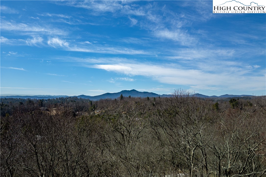 Goforth Road Blowing Rock, NC 28605 - Photo 4 of 9