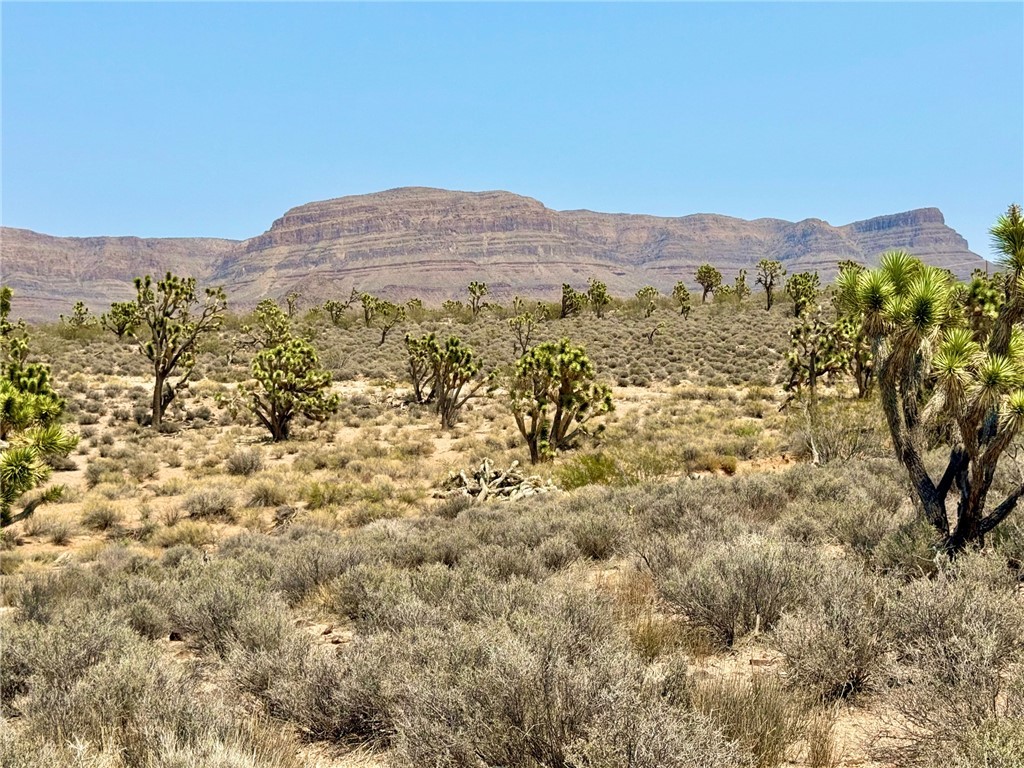 26681 Yucca Meadview, AZ 86444 - Photo 23 of 25 a view of a lush green field with mountains in the background