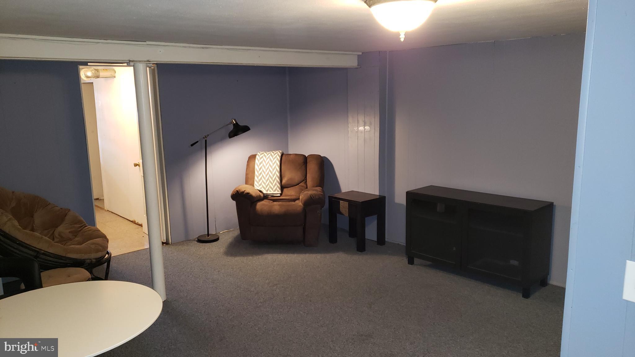 246 Ridge Avenue Towson, MD 21286 - Photo 6 of 28 Basement