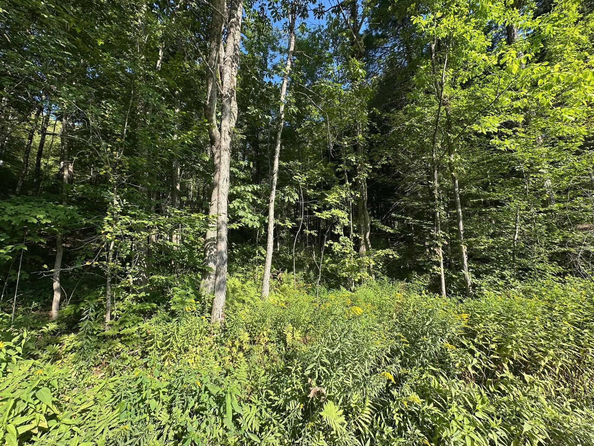 90 Old Swanzey Road Winchester, NH 03470 - Photo 4 of 8