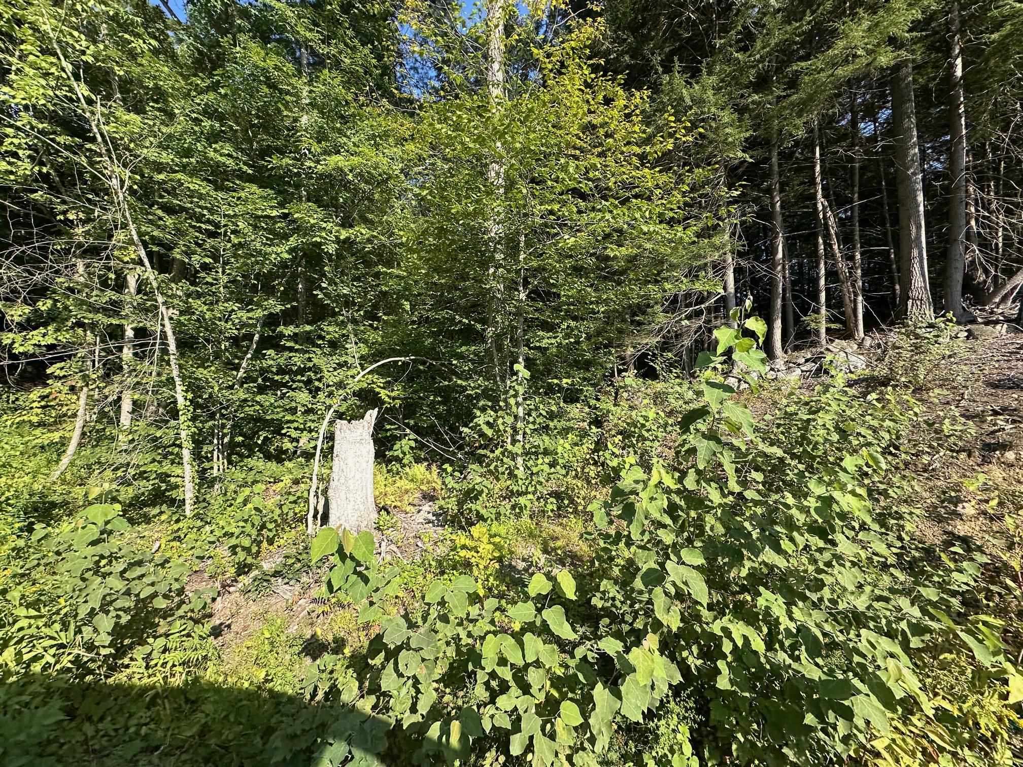 90 Old Swanzey Road Winchester, NH 03470 - Photo 5 of 8