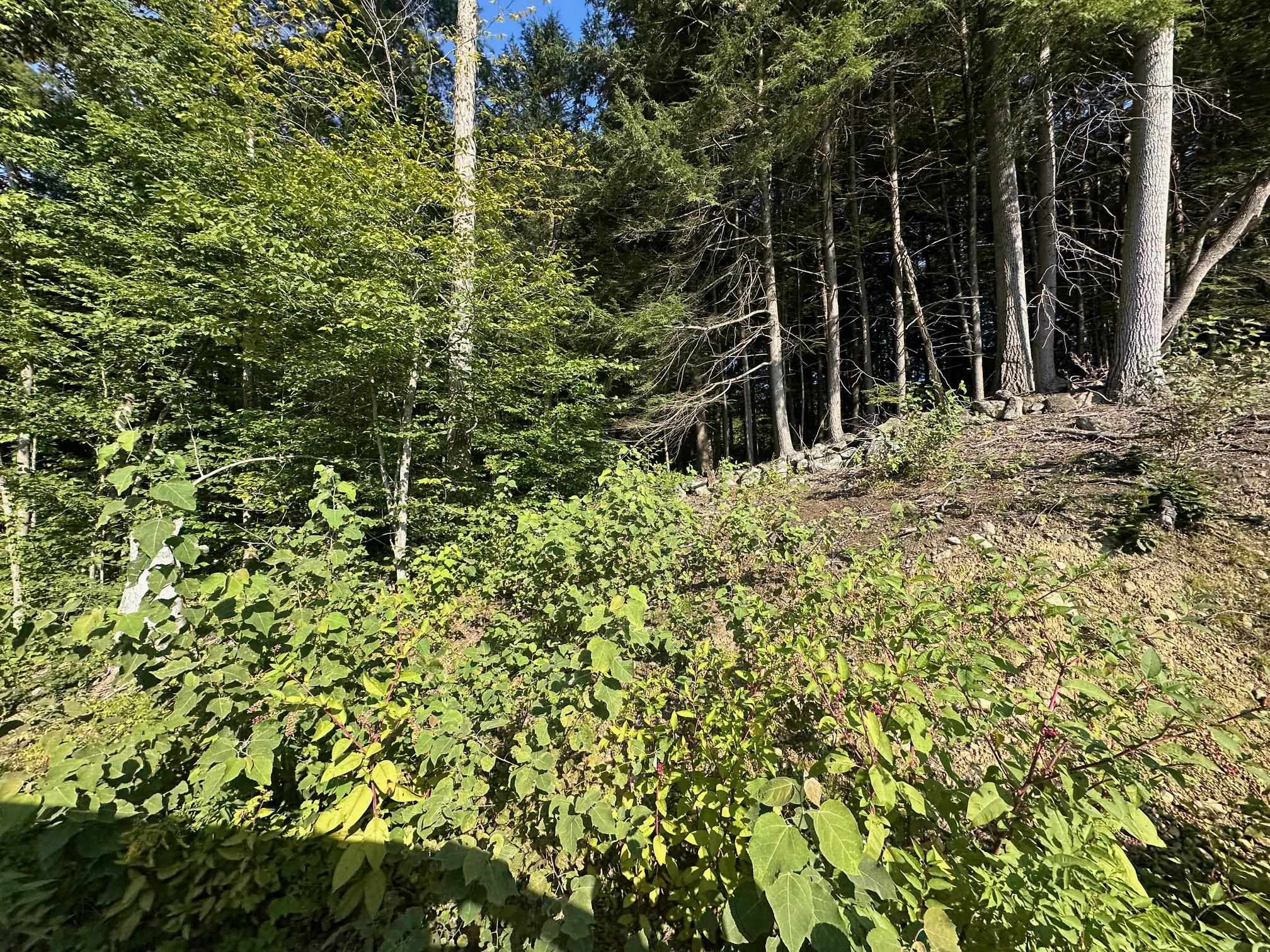 90 Old Swanzey Road Winchester, NH 03470 - Photo 6 of 8