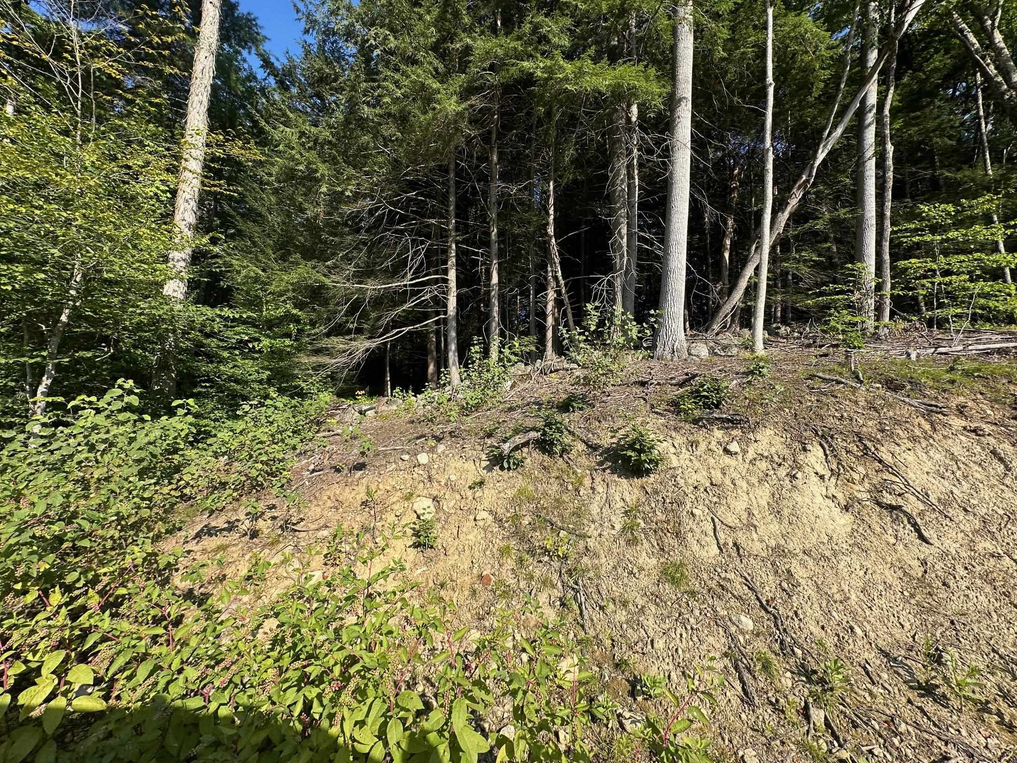 90 Old Swanzey Road Winchester, NH 03470 - Photo 7 of 8