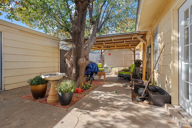 a view of a backyard with potted plants and a large tree