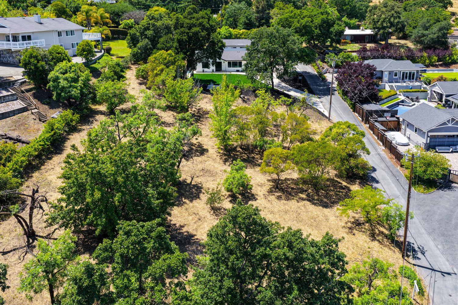 1543 Rancho View Drive Lafayette, CA 94549 - Photo 82 of 86