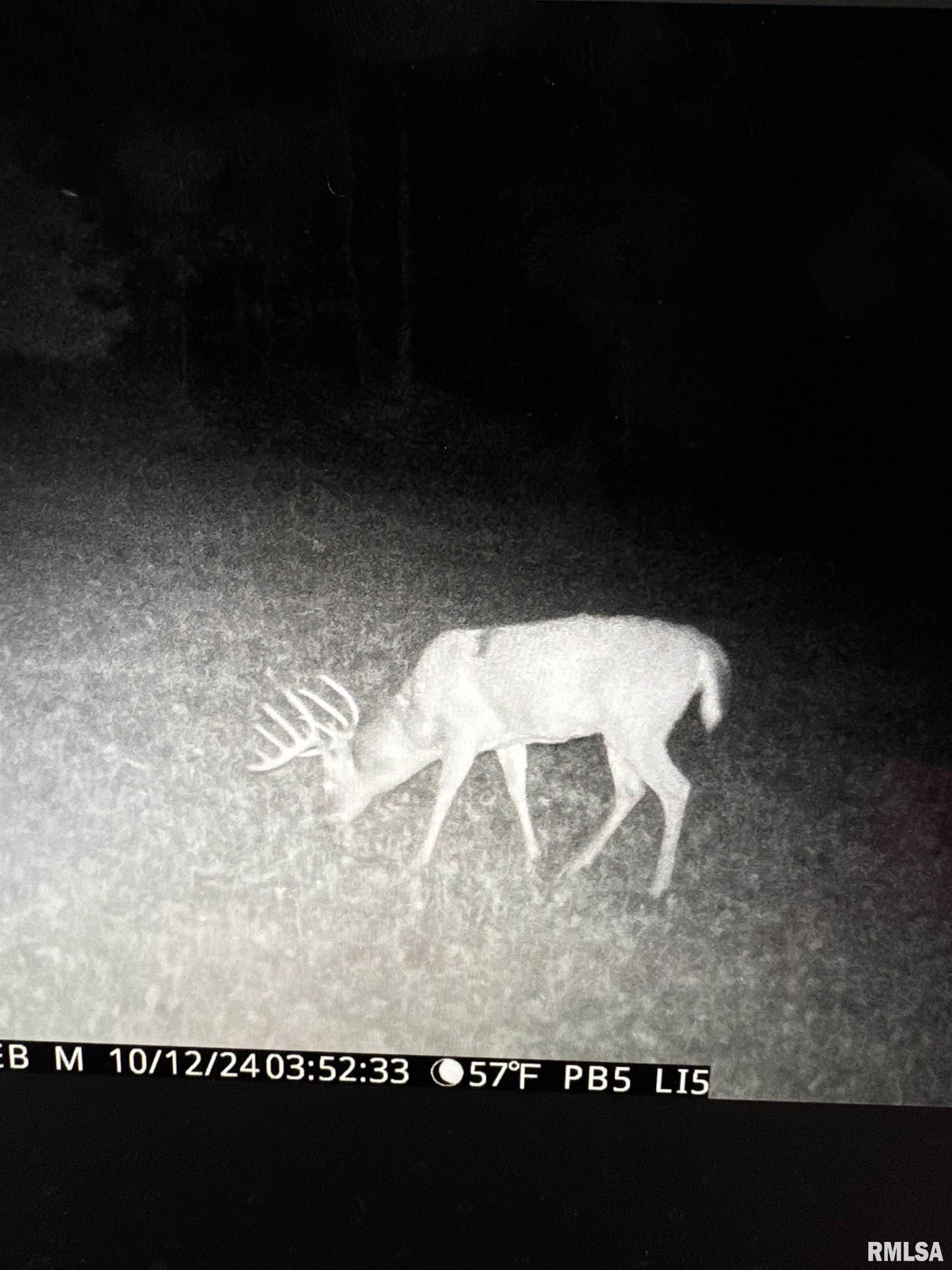 Rr Christian Neck Road Rushville, IL 62681 - Photo 5 of 11