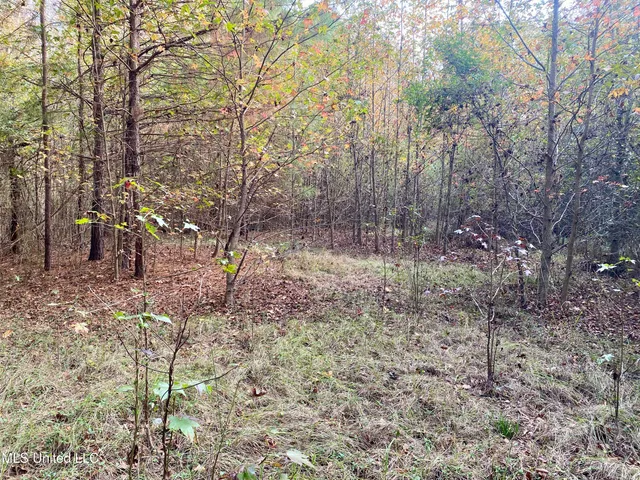 $18,000 | Massey Road, Kosciusko, MS 39090