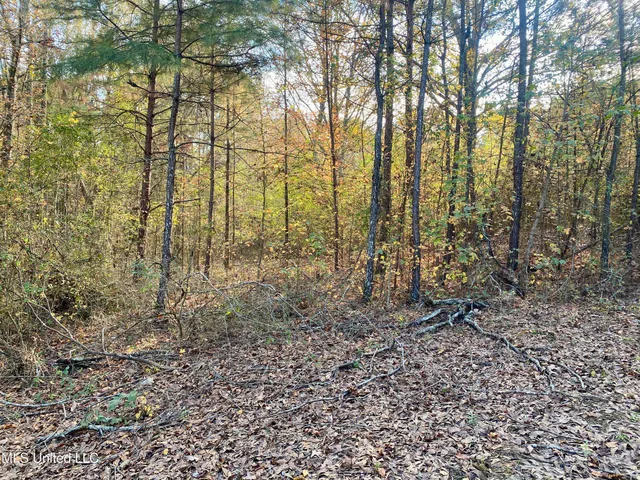 $18,000 | Massey Road, Kosciusko, MS 39090