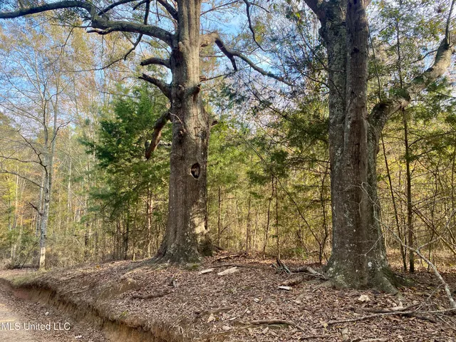 $18,000 | Massey Road, Kosciusko, MS 39090