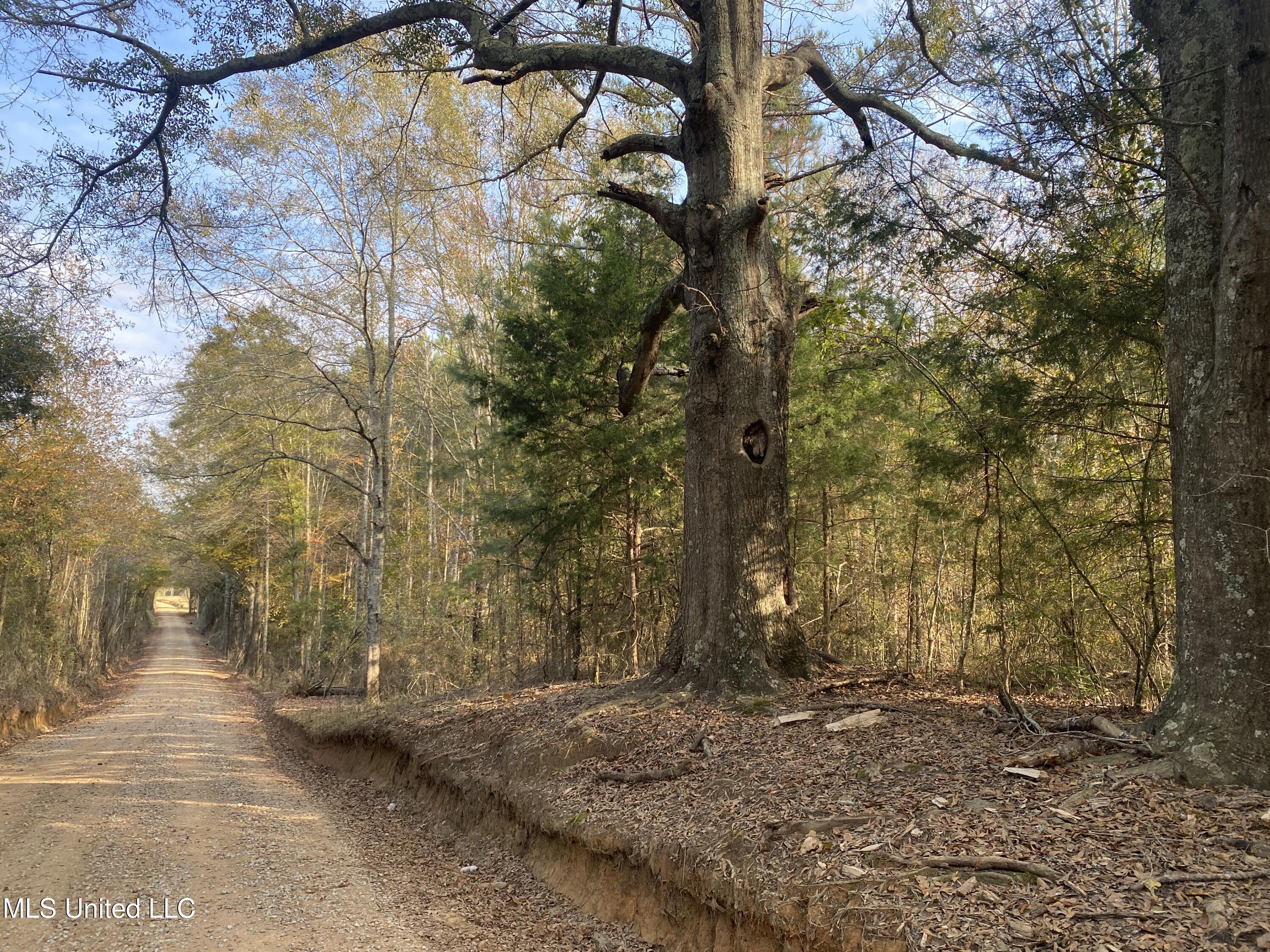 Massey Road Kosciusko, MS 39090 - Photo 14 of 20 IMG_1218