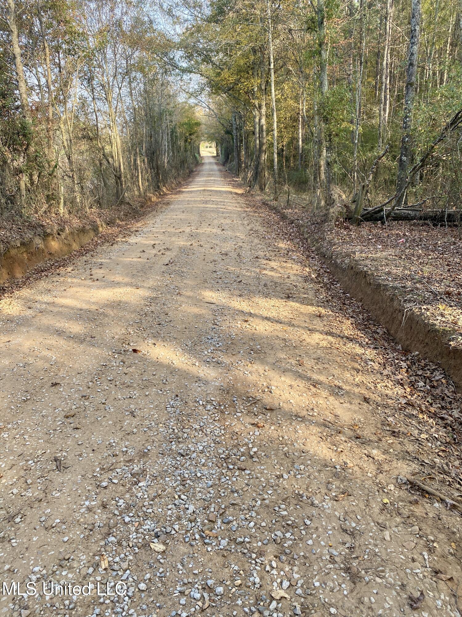 Massey Road Kosciusko, MS 39090 - Photo 15 of 20 IMG_1215