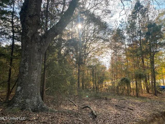 $18,000 | Massey Road, Kosciusko, MS 39090