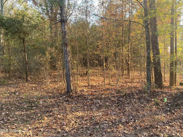 $18,000 | Massey Road, Kosciusko, MS 39090