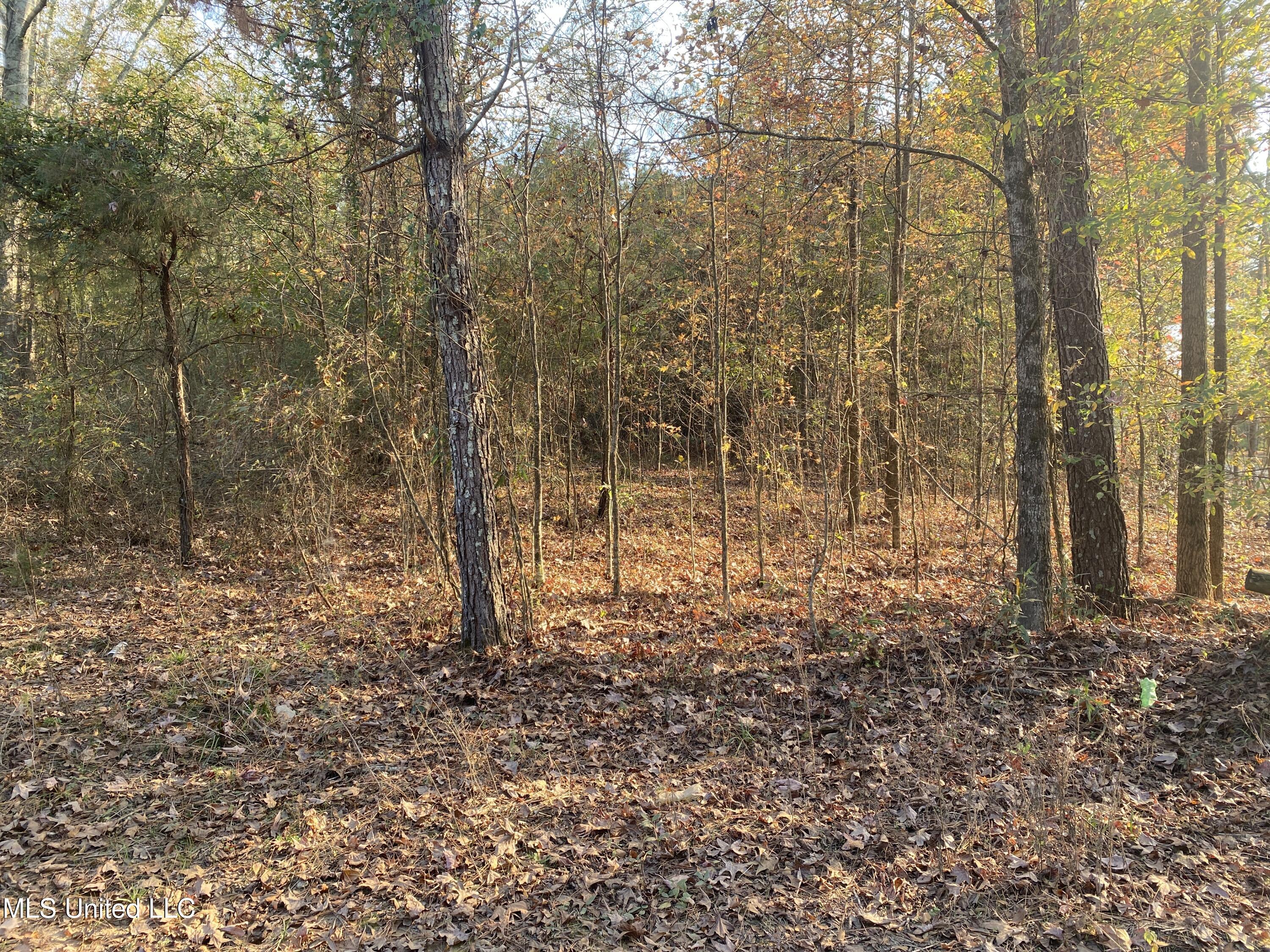 Massey Road Kosciusko, MS 39090 - Photo 17 of 20 IMG_1220