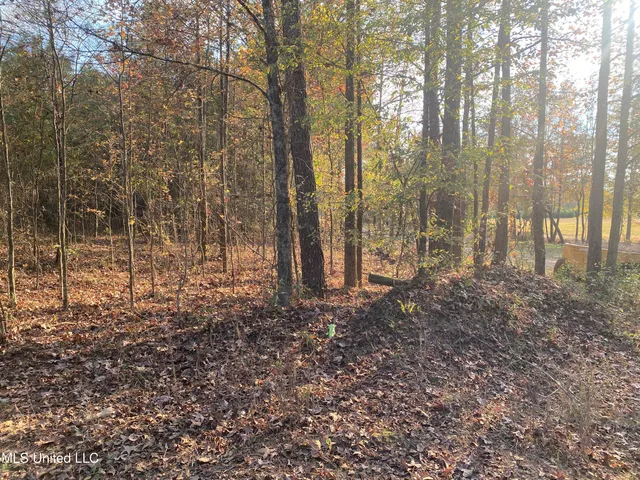 $18,000 | Massey Road, Kosciusko, MS 39090