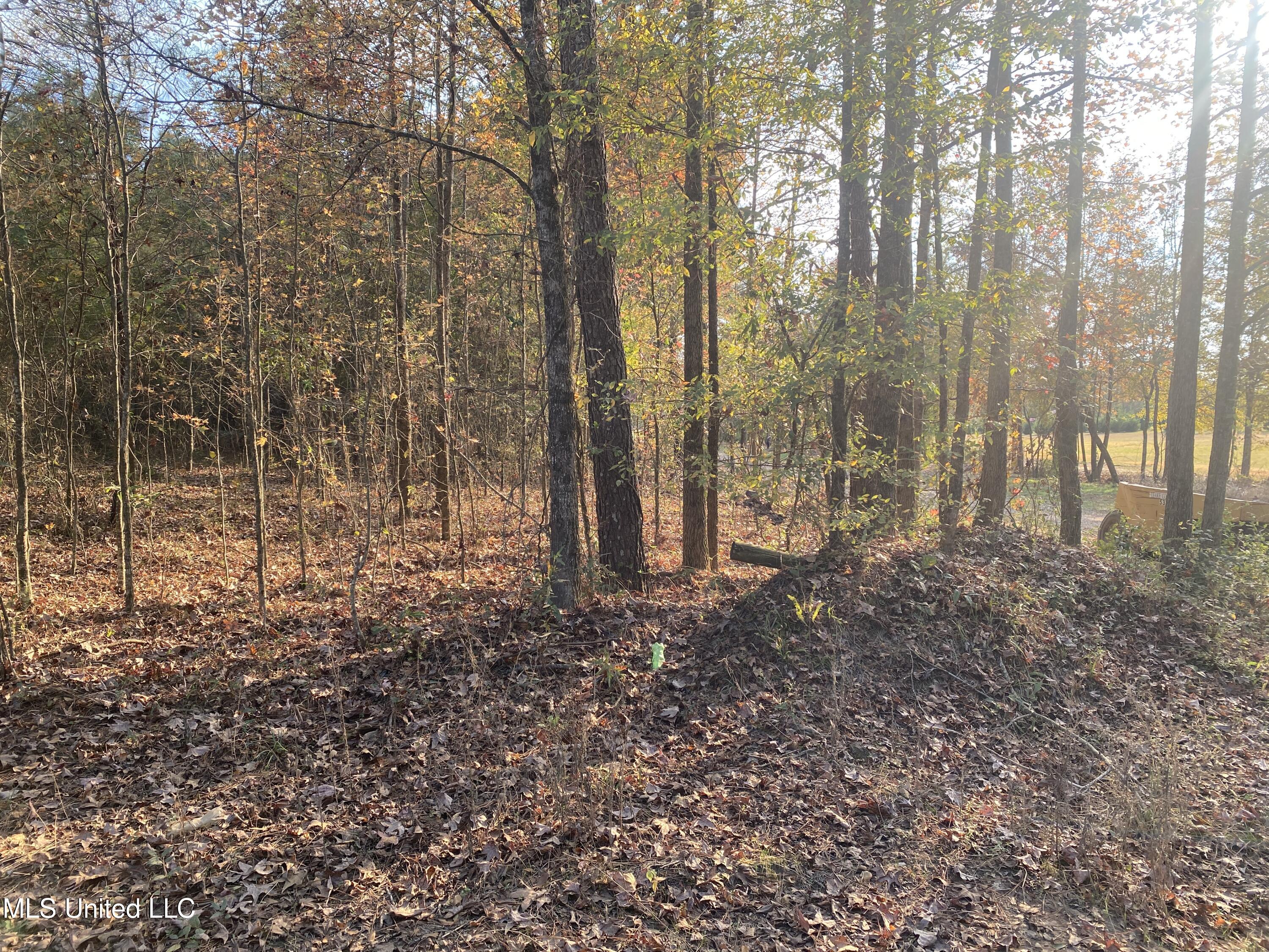 Massey Road Kosciusko, MS 39090 - Photo 18 of 20 IMG_1222