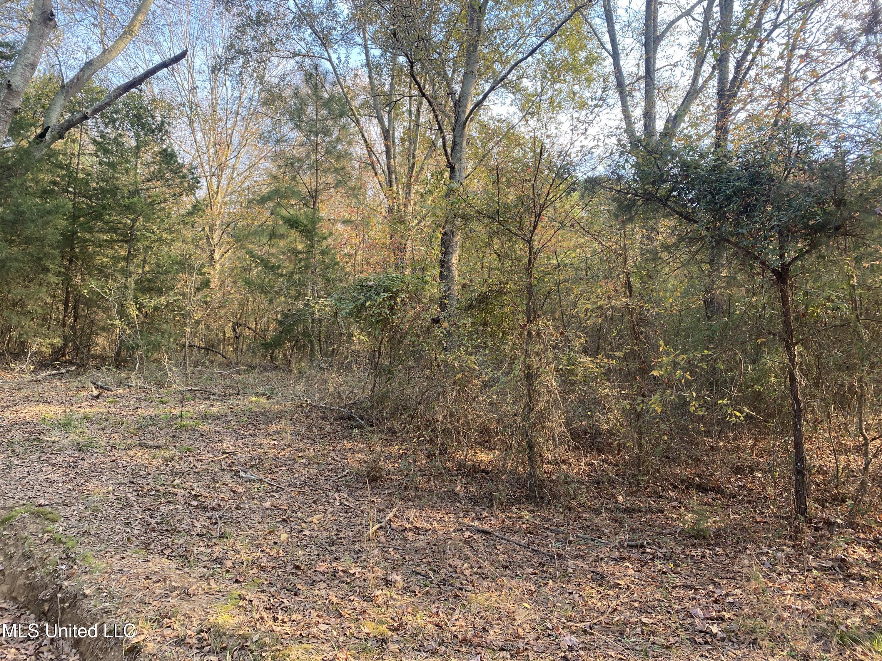 Massey Road Kosciusko, MS 39090 - Photo 19 of 20 IMG_1223